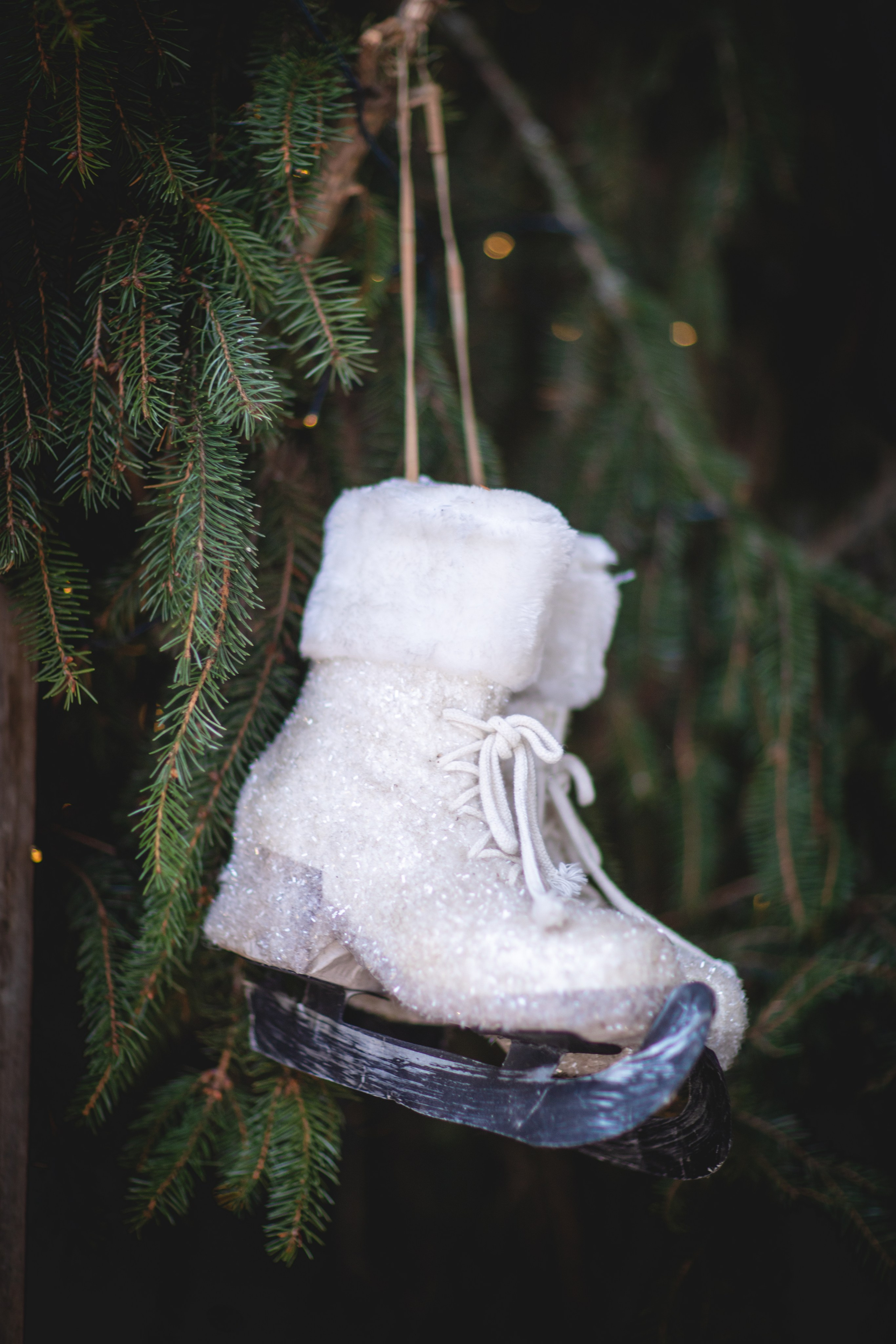 Домик в лесу. Семейный фотограф в Москве Анастасия Гурьянова
