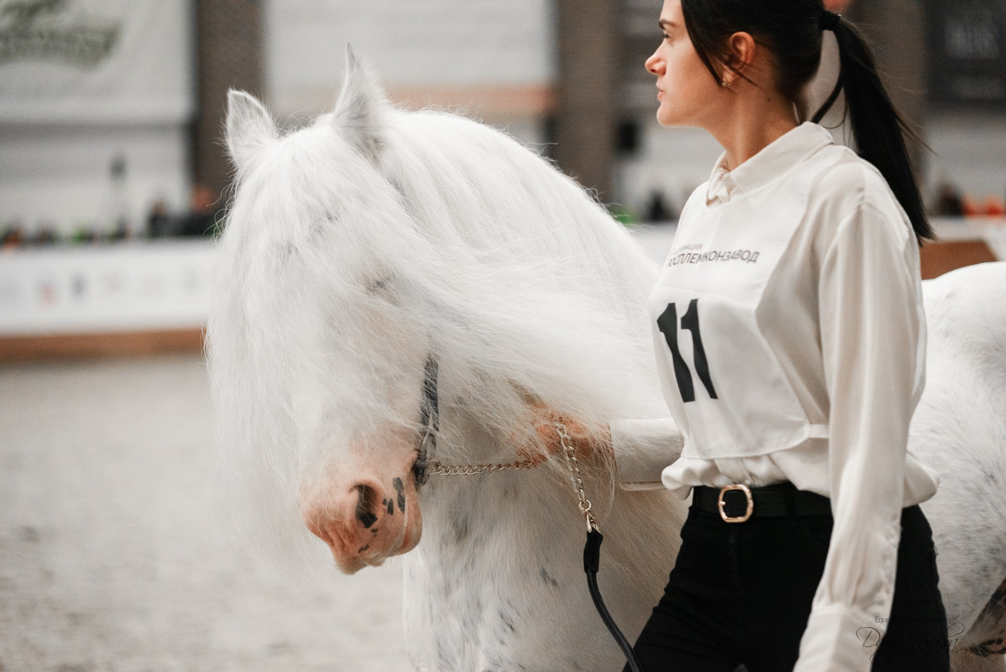 8-я международная выставка Конная Россия. Конный фотограф Куракина Дарья • Фотосессии с лошадьми