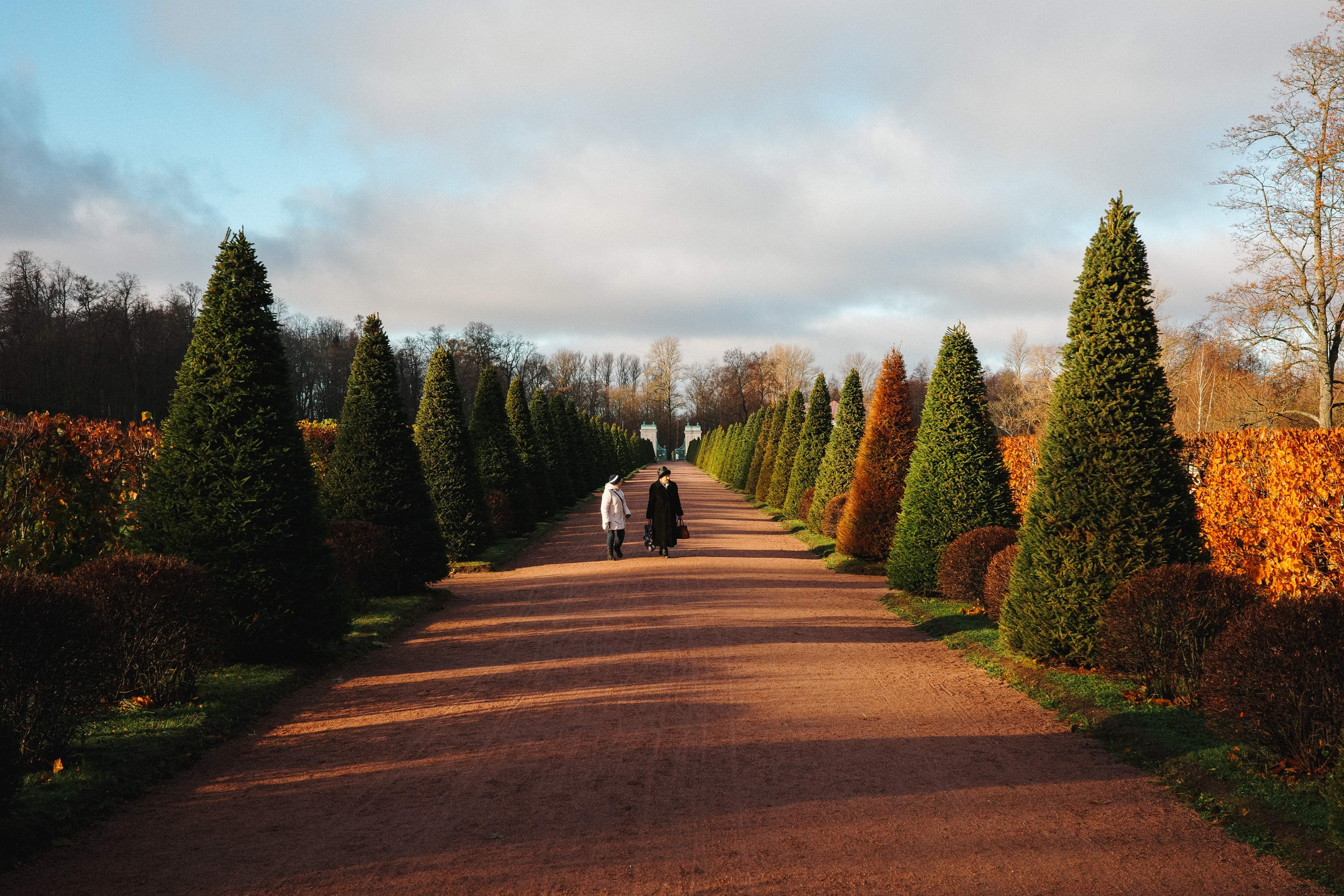 2024.11. Фотограф Алексей Алексеев