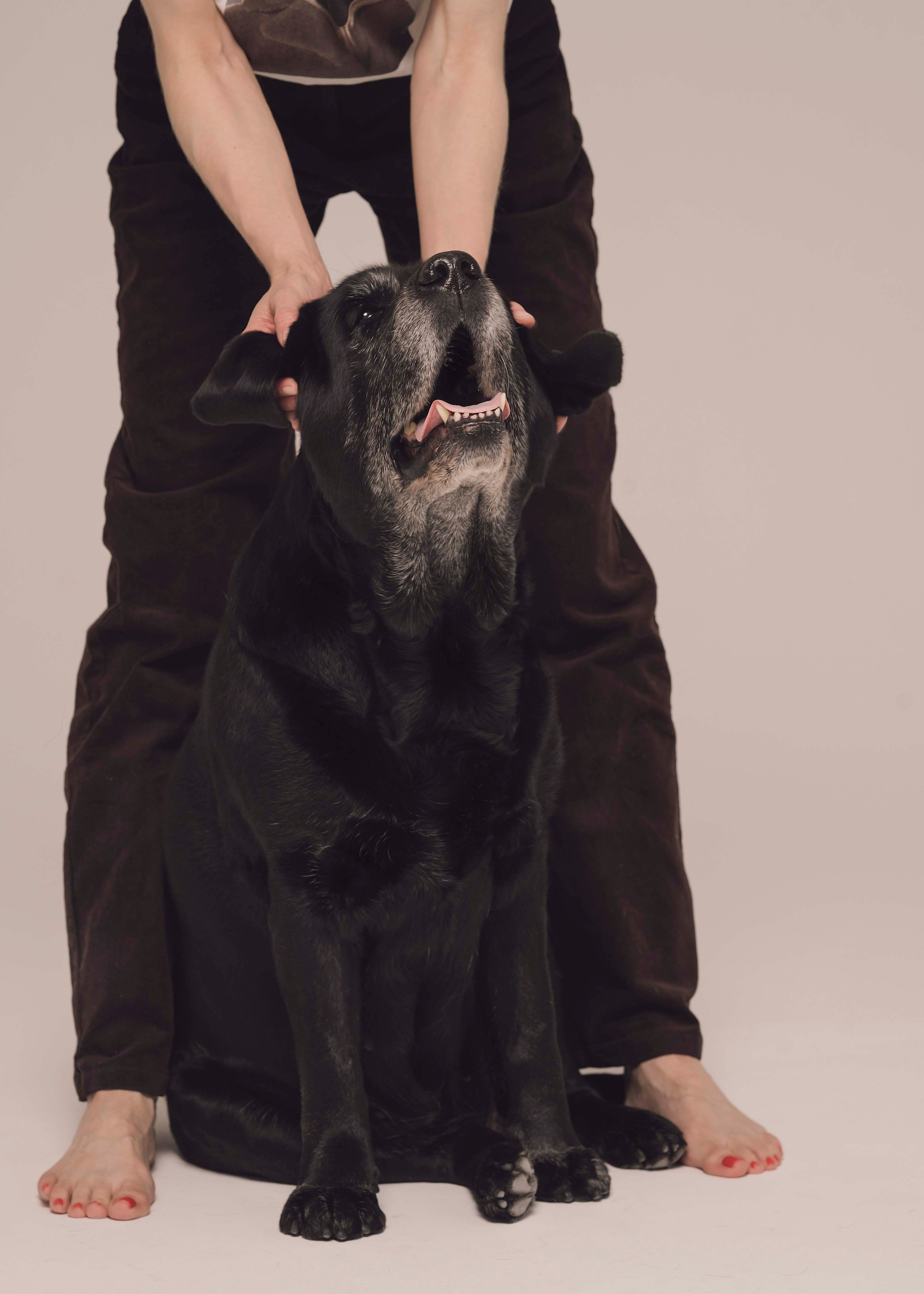 Бэста. Фотограф- анималист Александра Матвеева