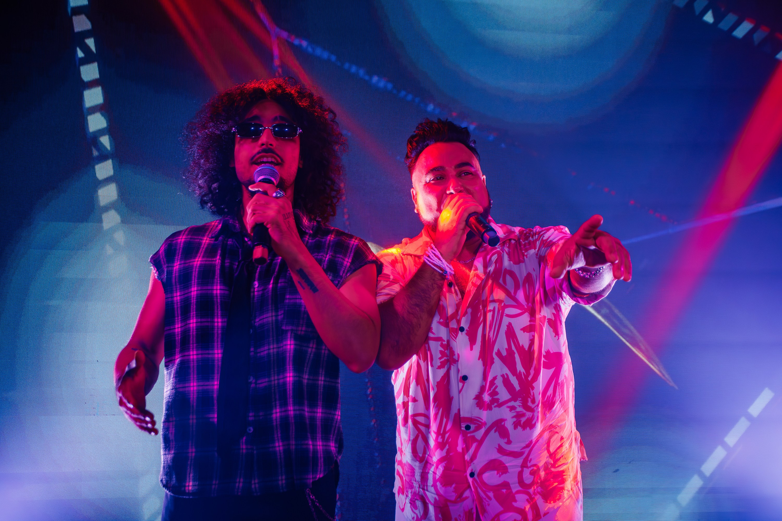 «LYRIQ"_Чайка на пляже_Ялта_15.08.2025 г. Аминов Руслан | Фотограф