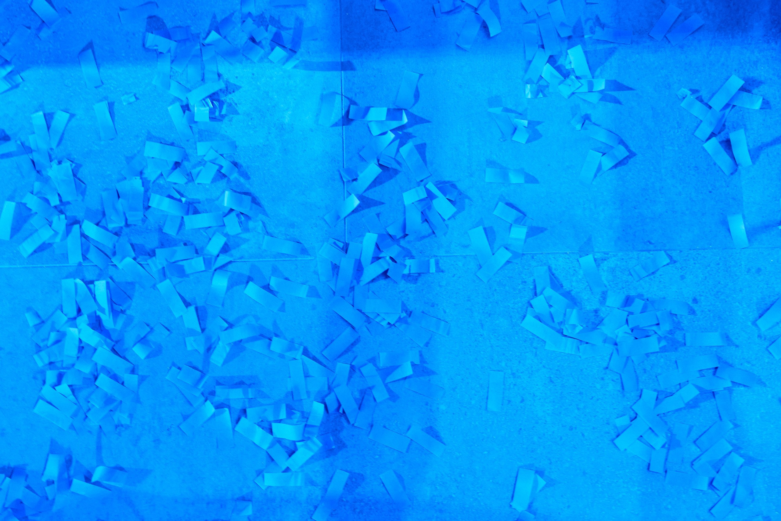 Vladimir & Anastasia. Event агентство PAPRIKA в Екатеринбурге