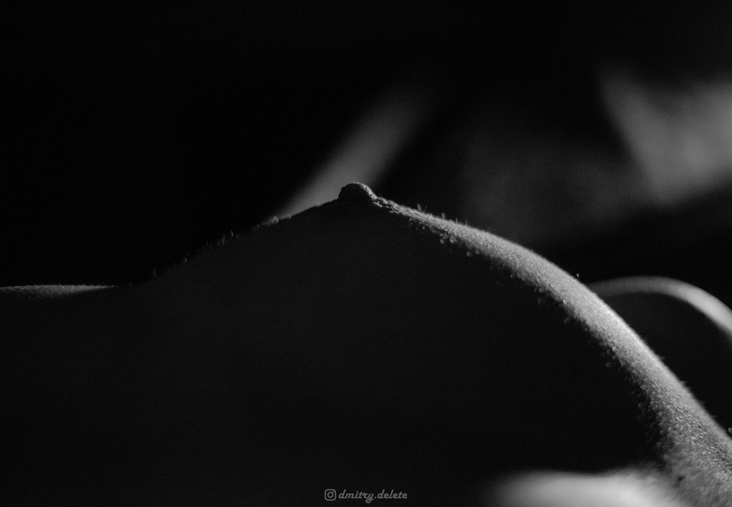 Арт и Ню фотосессия в Москве. Спортивный и репортажный фотограф Дмитрий Литунов Москва