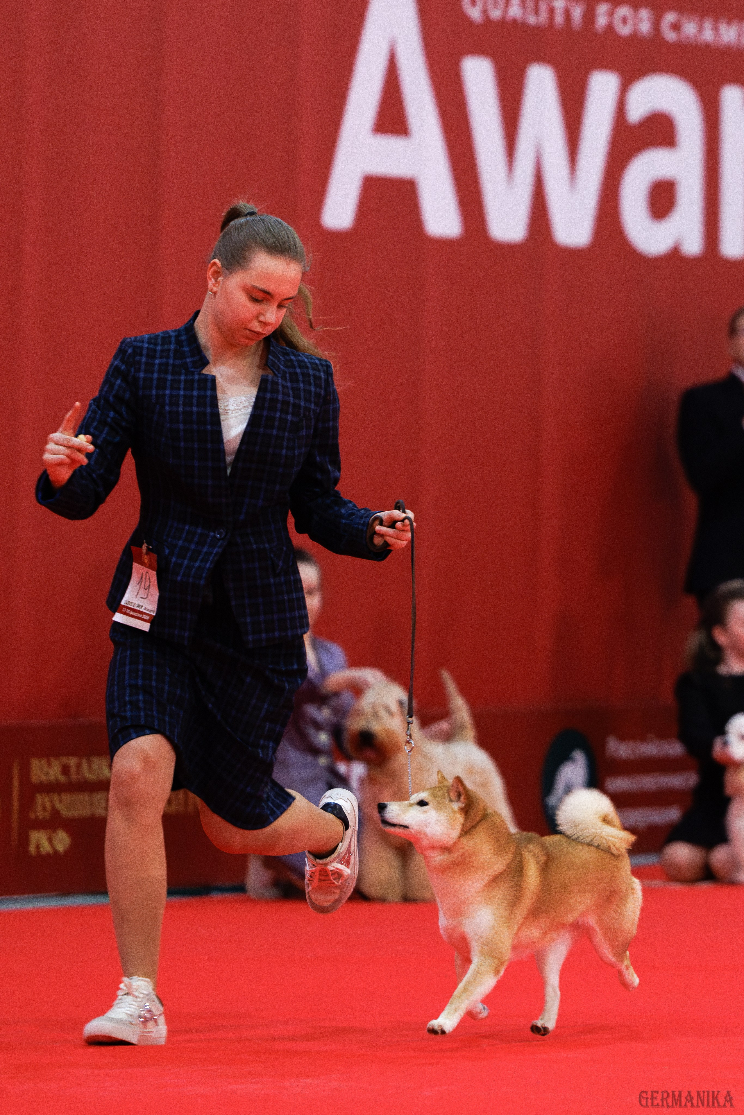 Лучшие Собаки России 17-18.02.2024. Фотограф-анималист Юлия Германика
