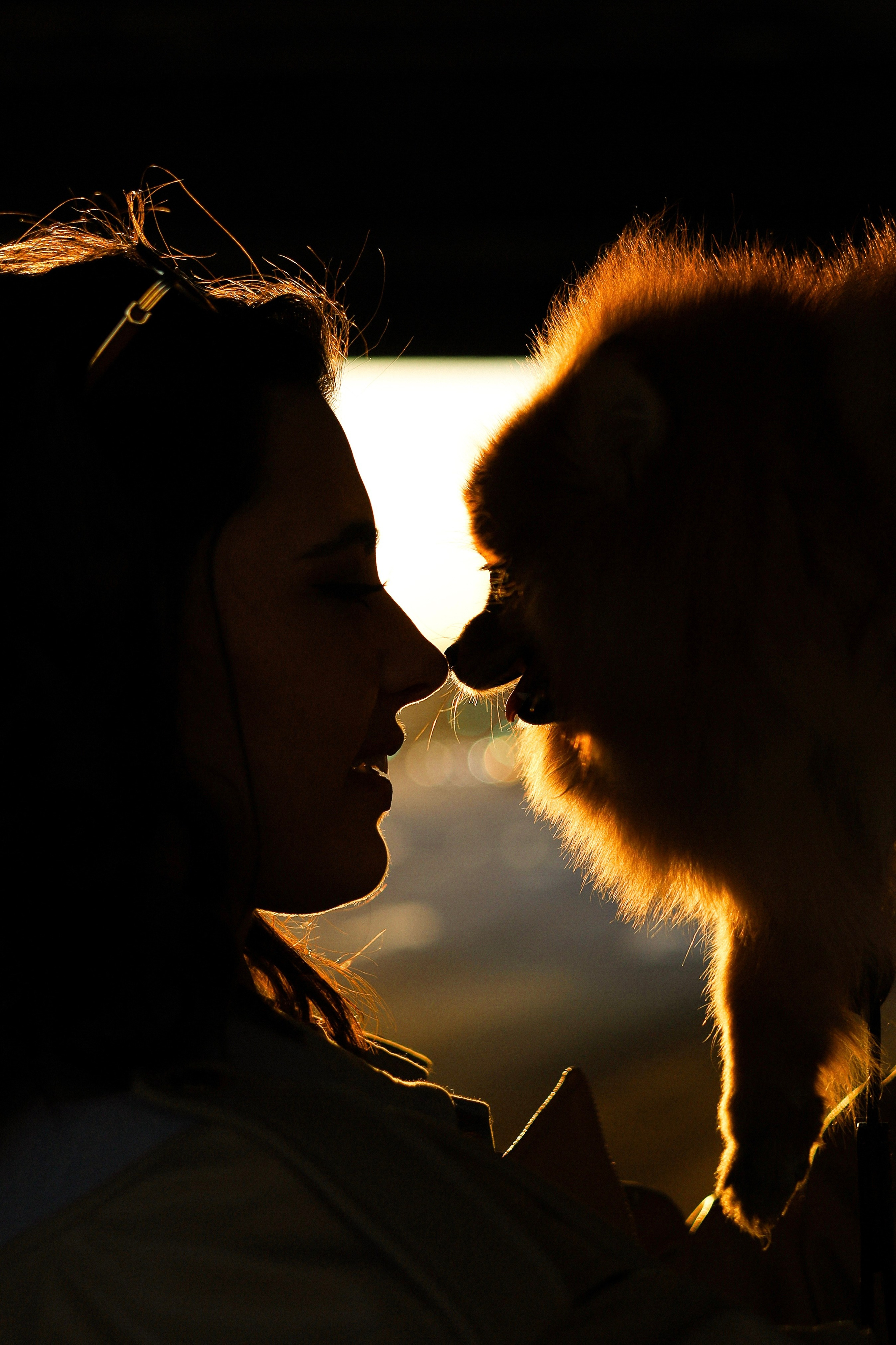 Мика и Лена. Фотограф-анималист Ксения Шевцова|Москва