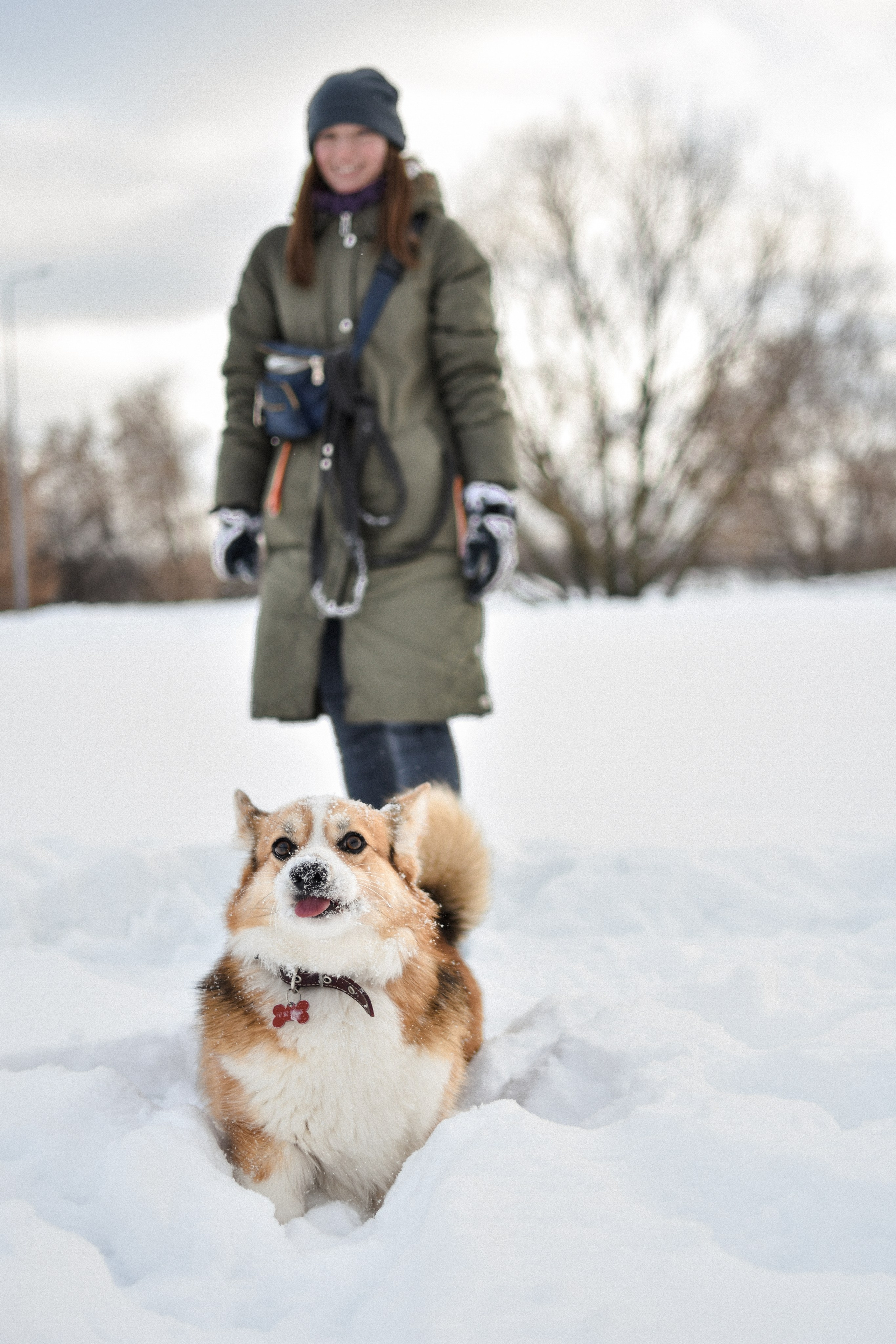 Алекс и Вера. Фотограф-анималист Ксения Шевцова|Москва