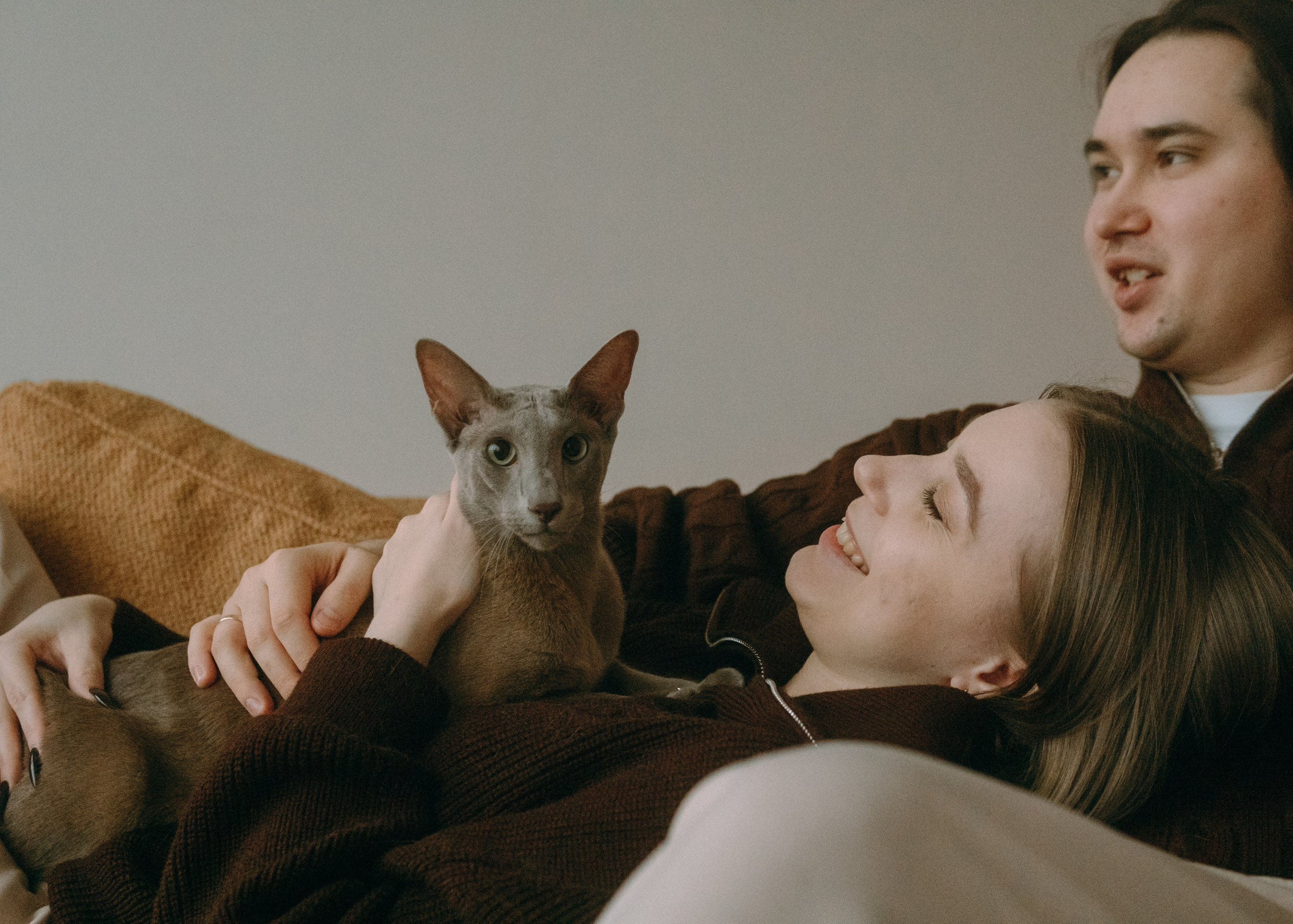 Амина, Булат и Орион. Фотограф-анималист Ксения Воробьева, Москва