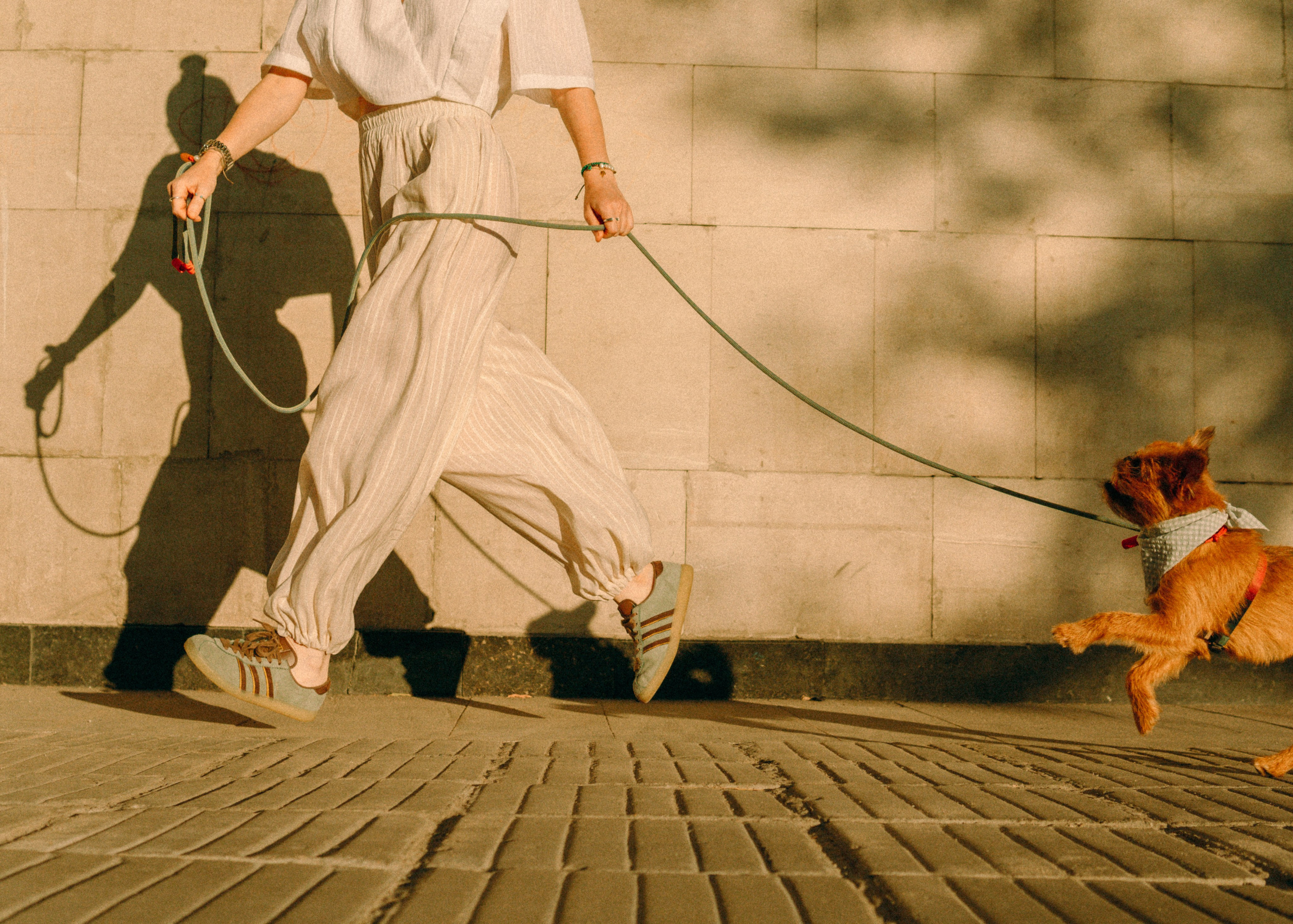 Лена и Альфи. Фотограф-анималист Ксения Воробьева, Москва