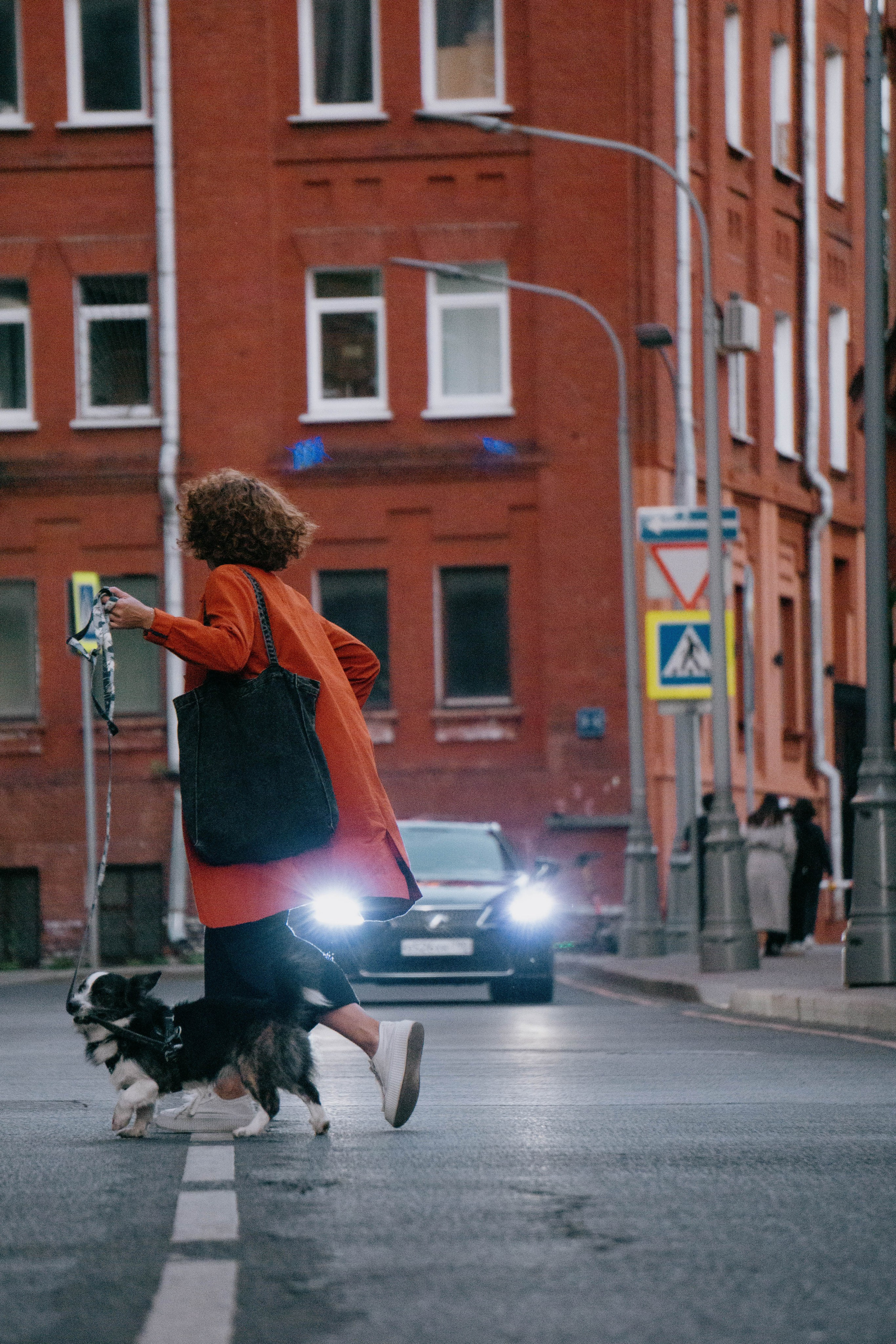 Даша и Тюбик. Фотограф-анималист Ксения Воробьева, Москва