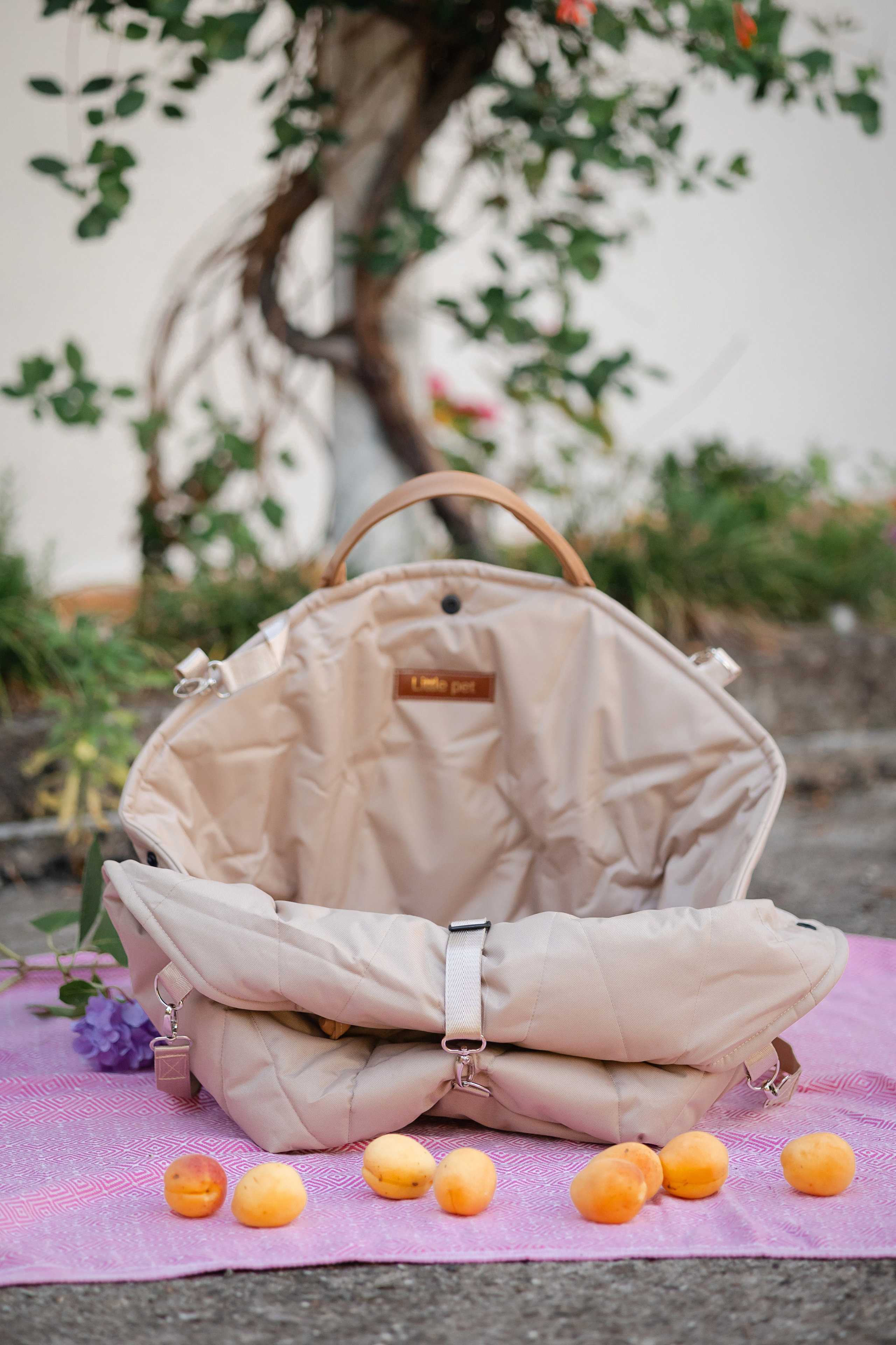 Путешествия. Профессиональный питомник левреток РКФ/FCI ASTI SAPPHIRE 💎 Сочи|Санкт-Петербург