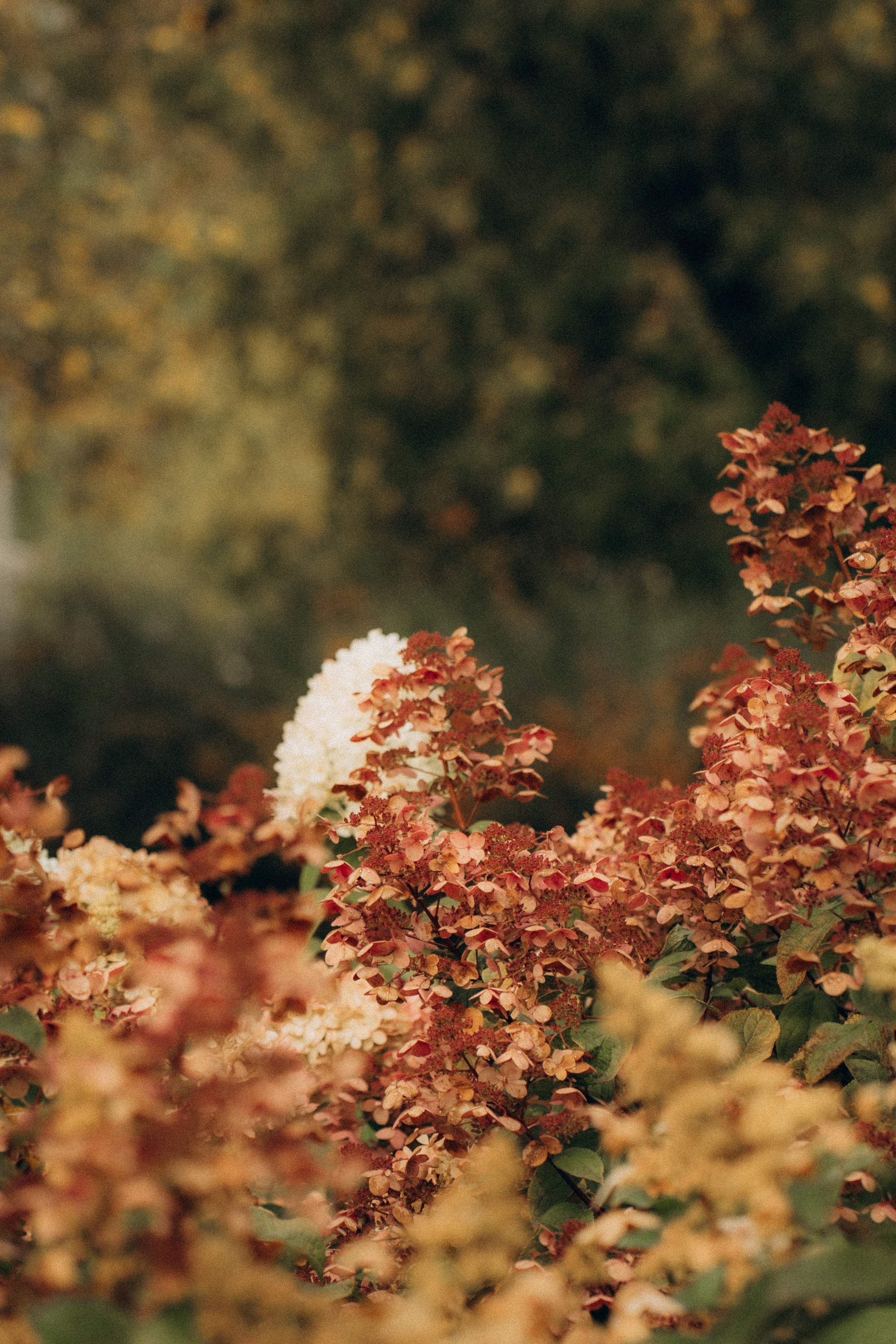 Счастье быть рядом. Фотограф Москва Селюкова Юлия