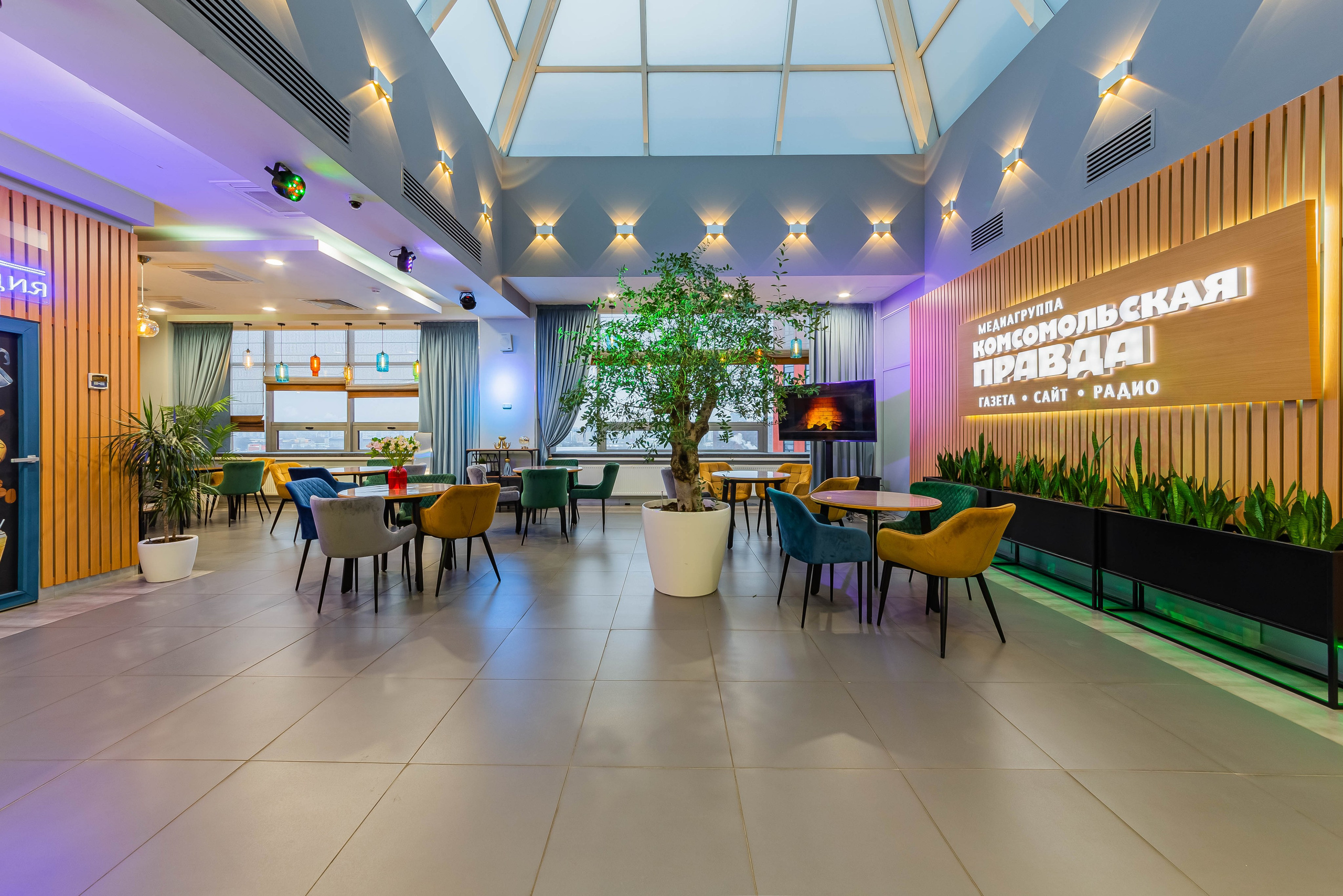 Сокол. Фотограф Лагутин Анатолий