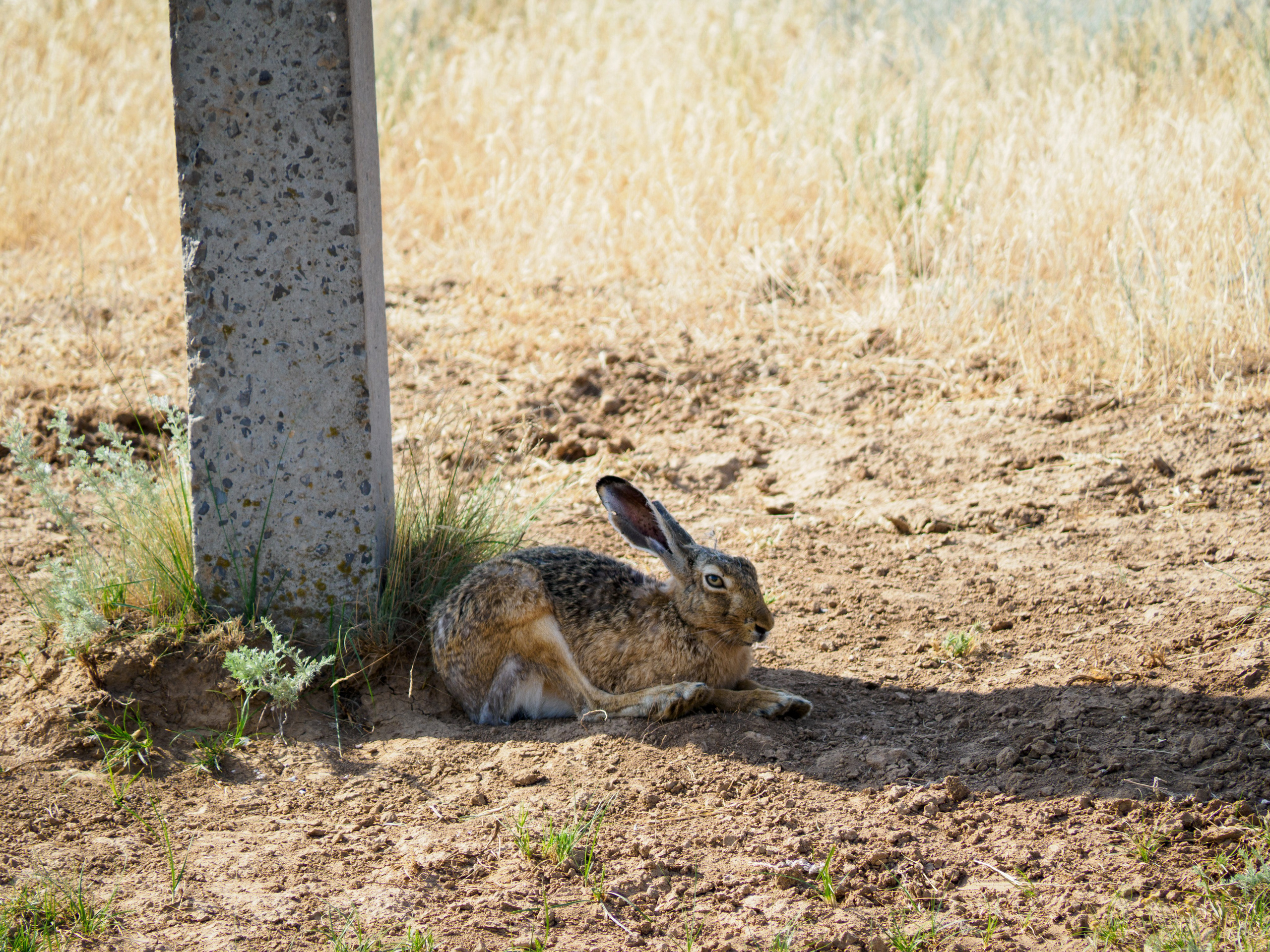 Эльтон 2024. Творческие сьемки