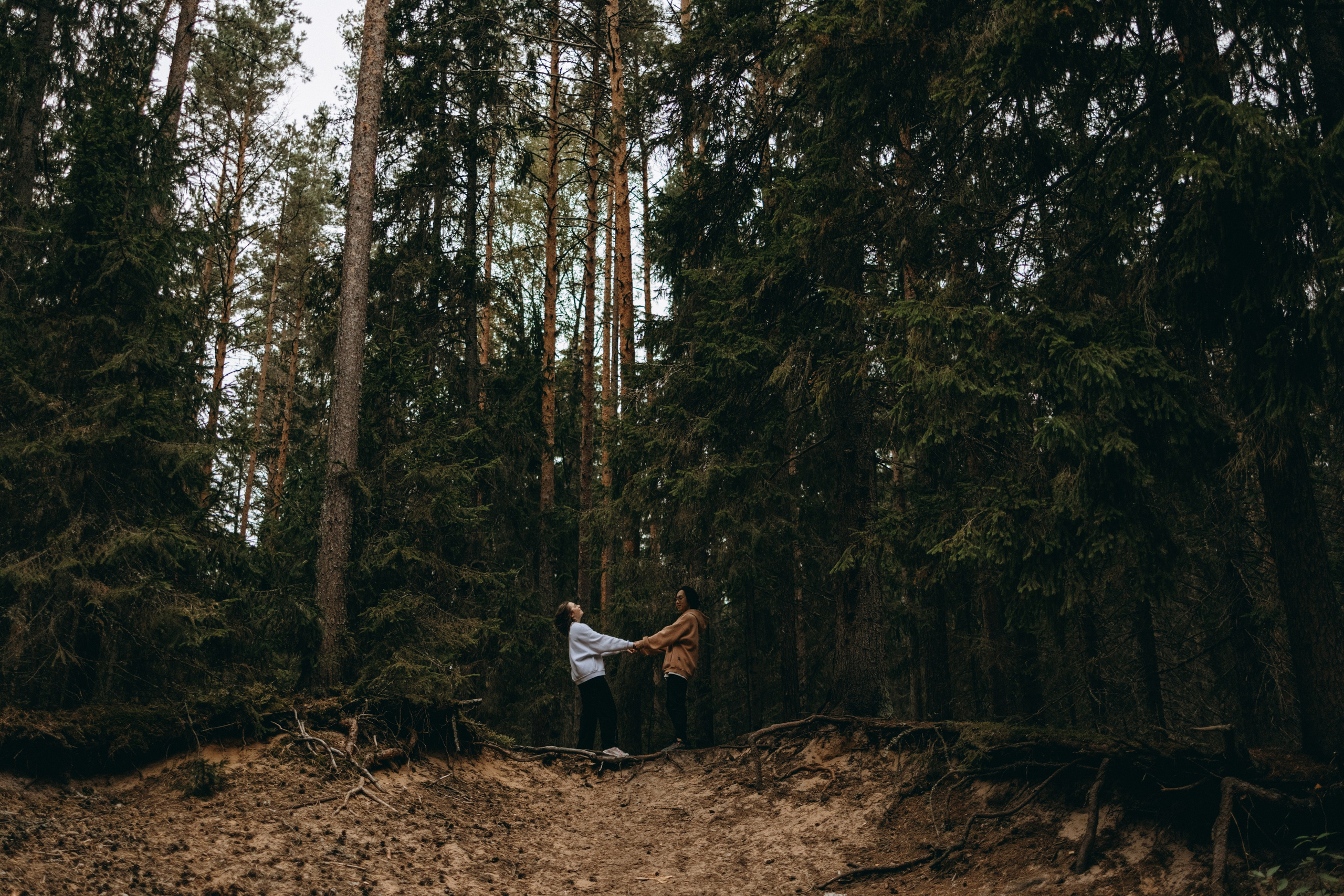 Фоси и его семьи. Фотограф — Анималист | Санкт-Петербург