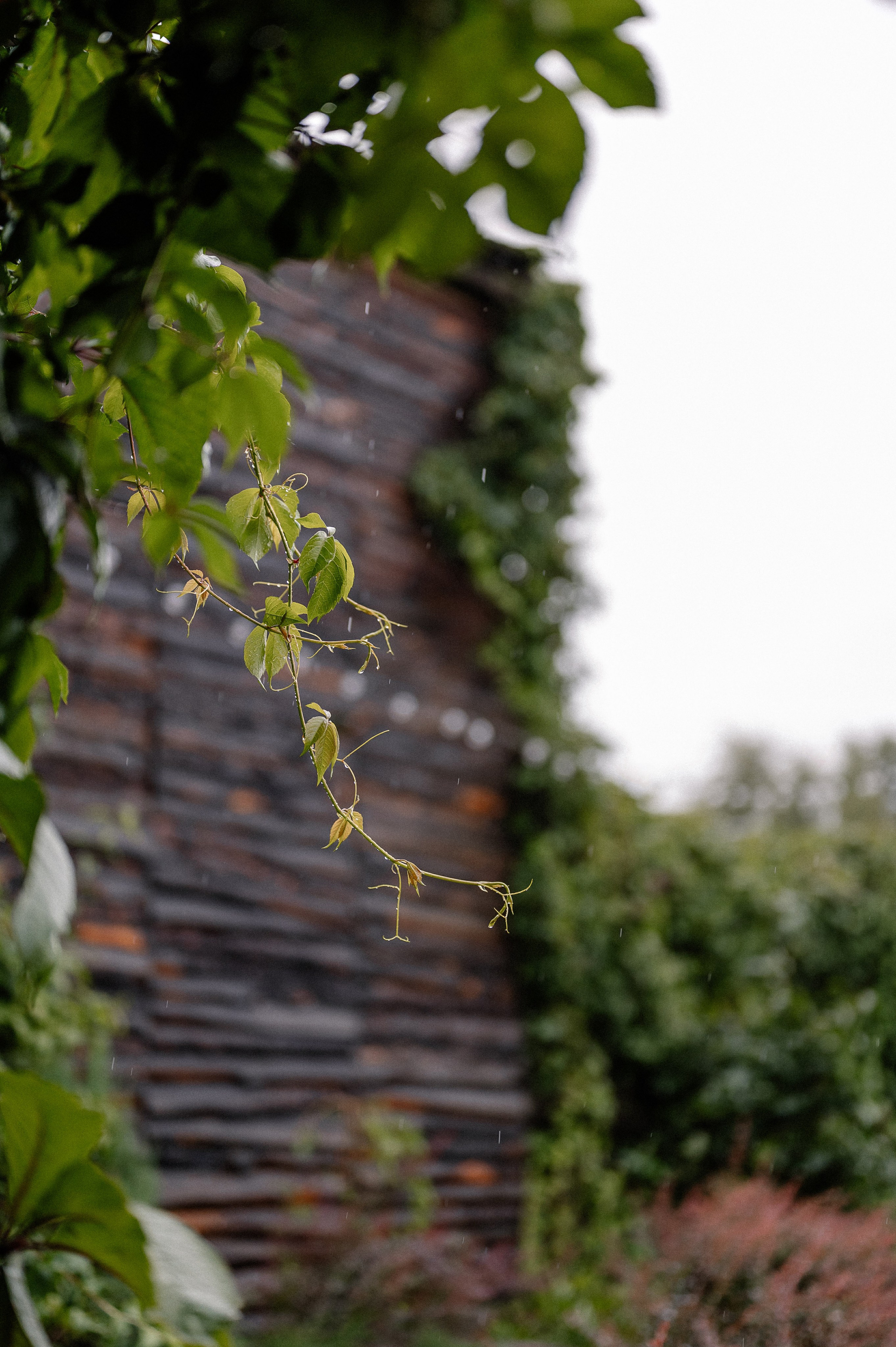 «Дождь за окном, счастье — внутри». Свадебный и семейный фотограф в Чебоксарах Ирина Левнер