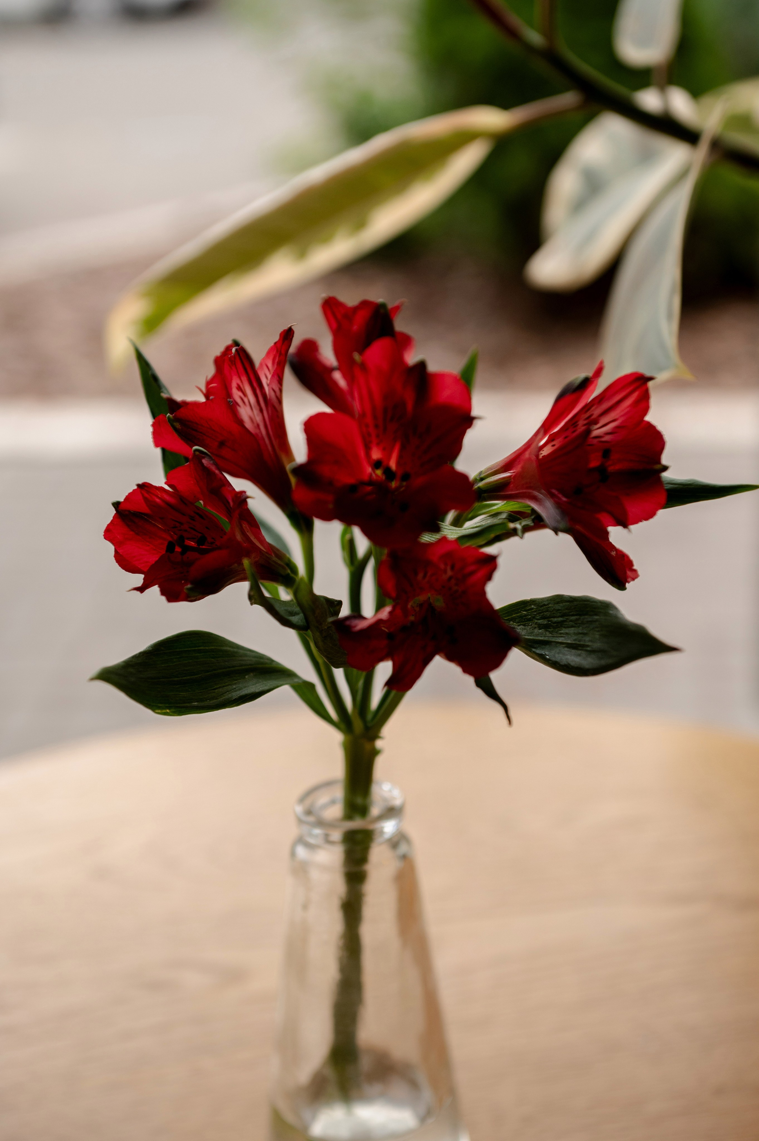 | Olga & Andey |. Свадебный и портретный фотограф в Казани