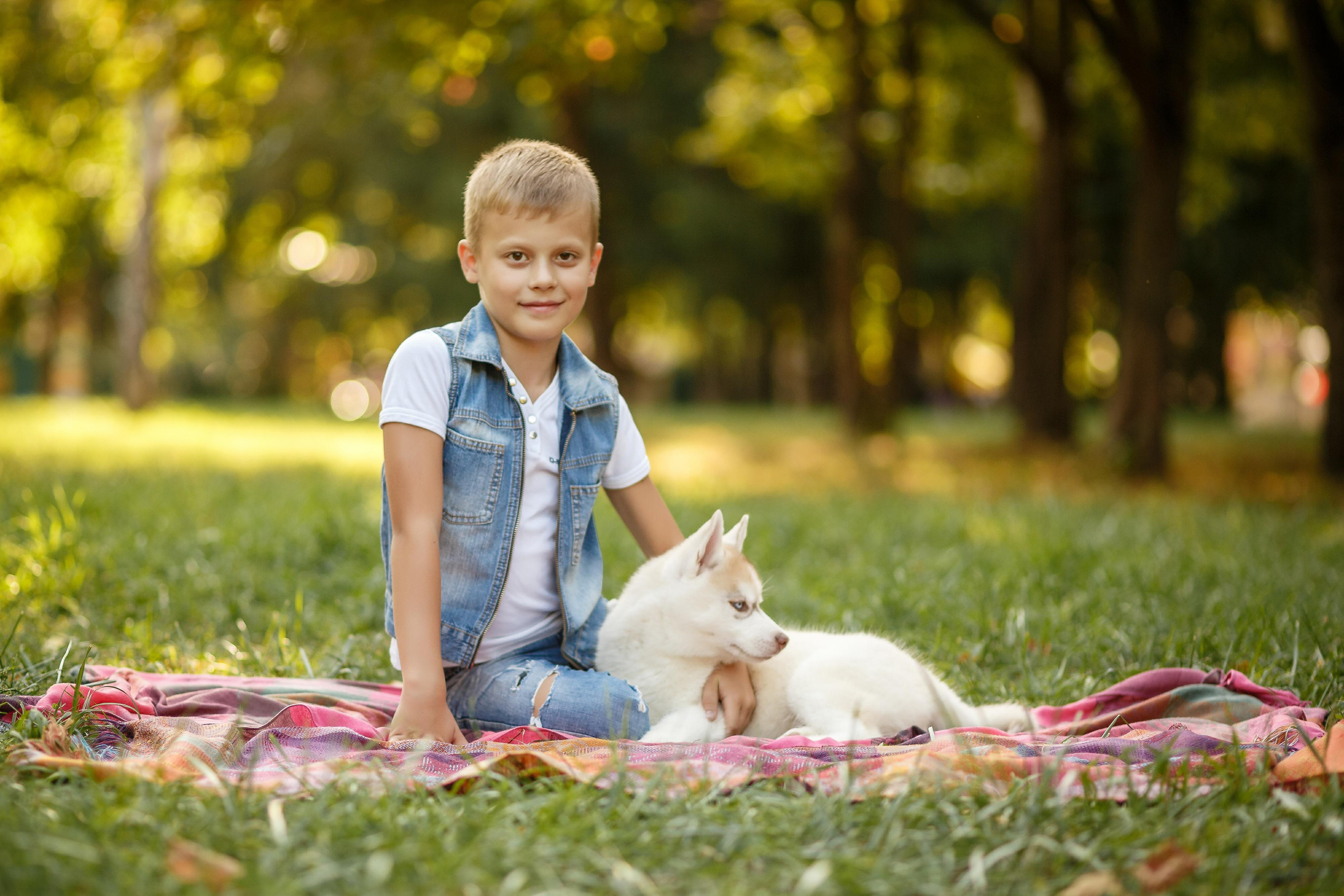 Фотосессия с хаски. Фотограф Антон Джавадян