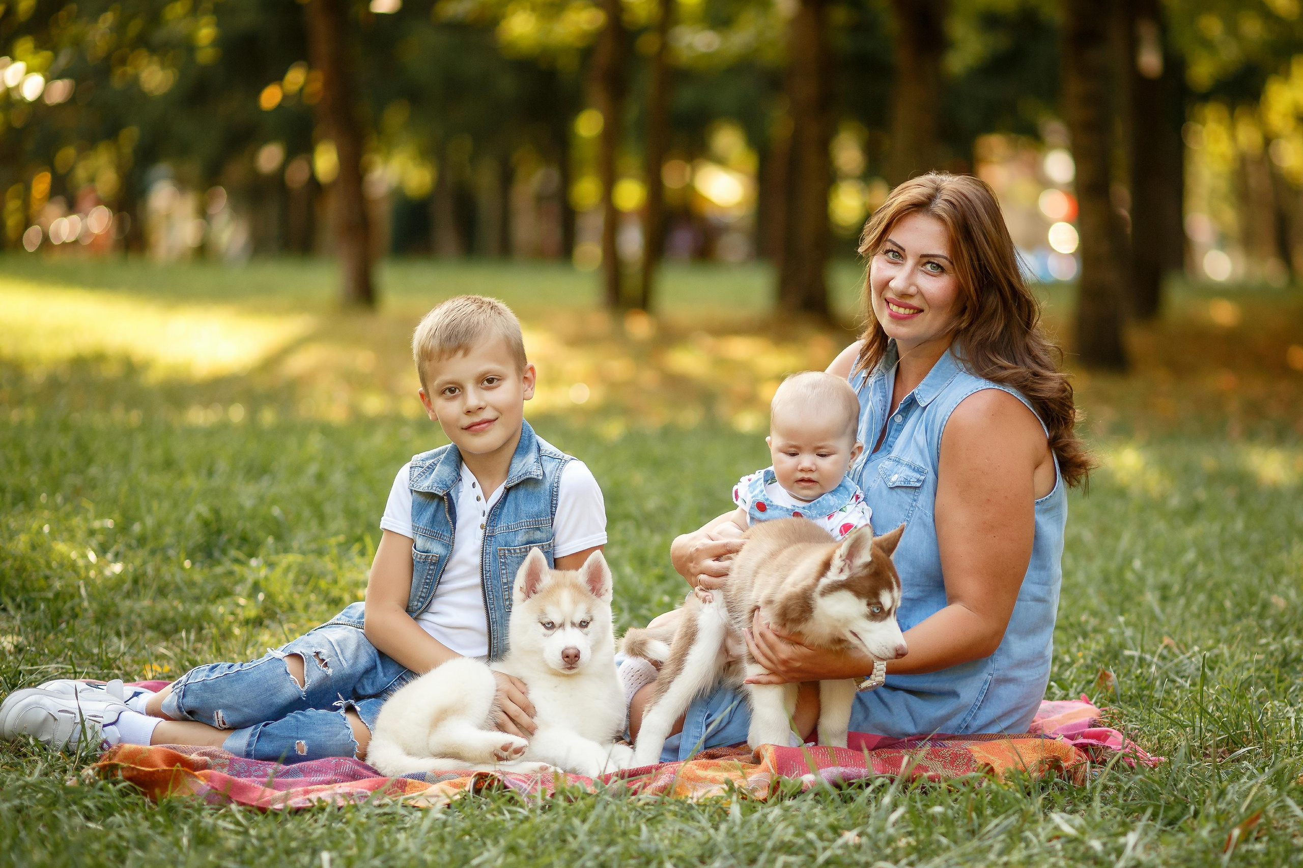 Фотосессия с хаски. Фотограф Антон Джавадян