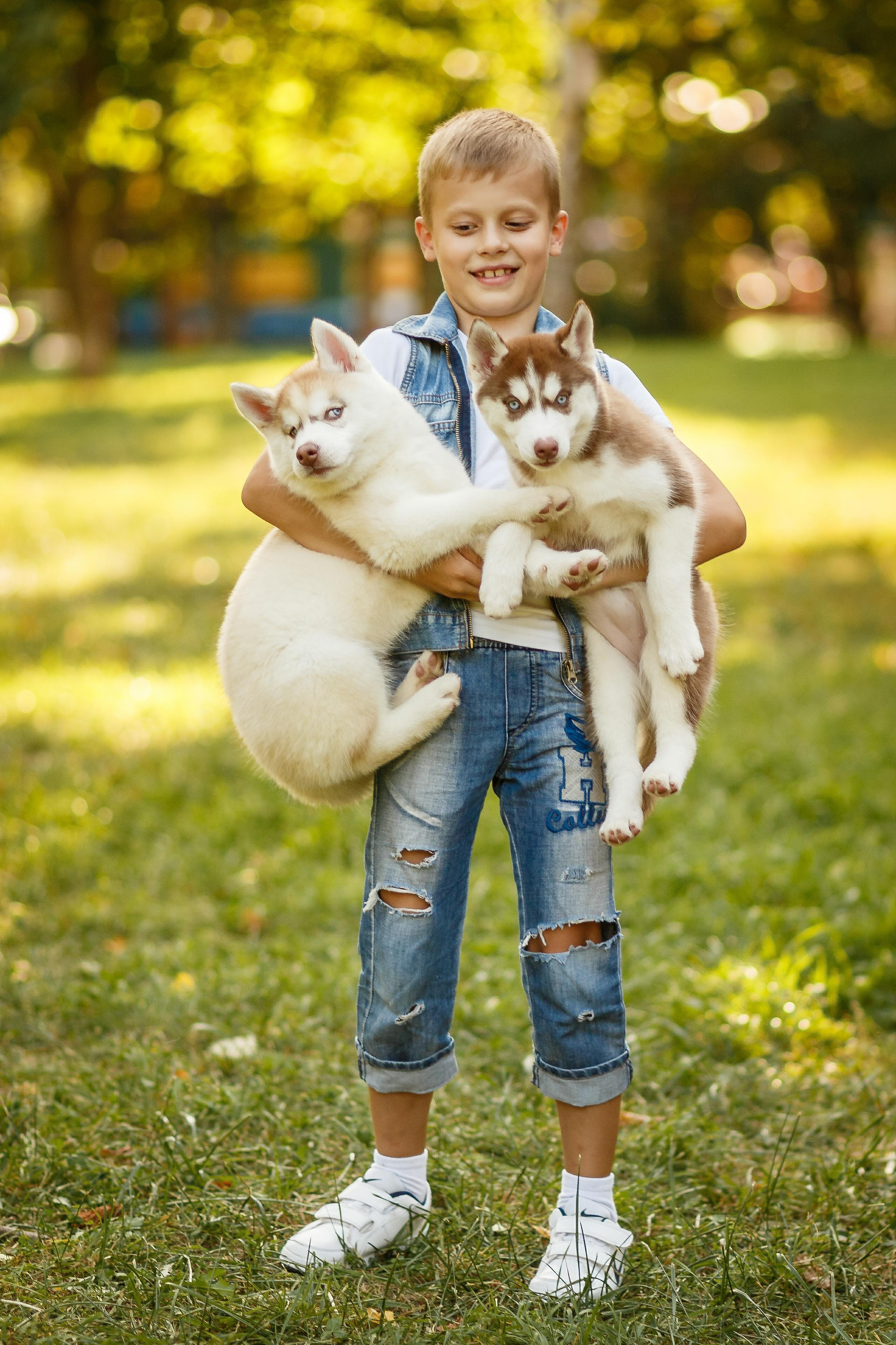 Фотосессия с хаски. Фотограф Антон Джавадян