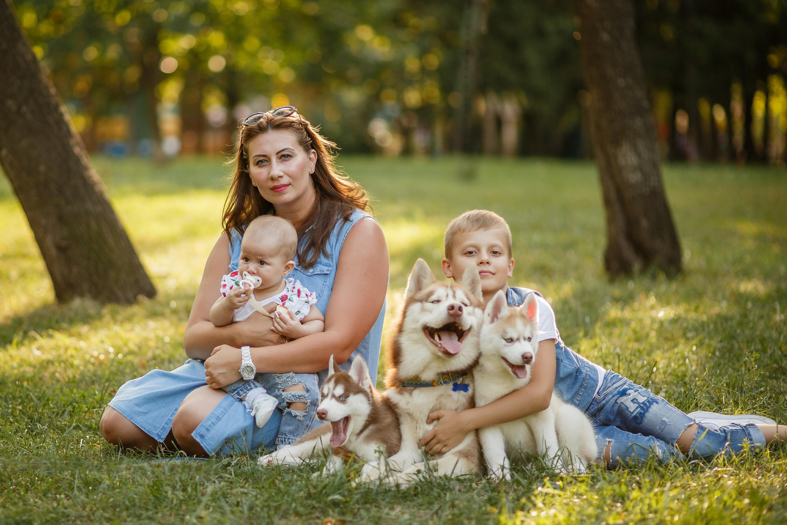 Фотосессия с хаски. Фотограф Антон Джавадян
