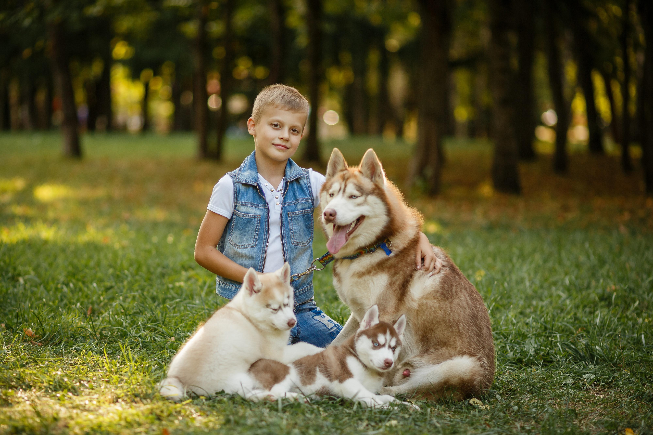Фотосессия с хаски. Фотограф Антон Джавадян