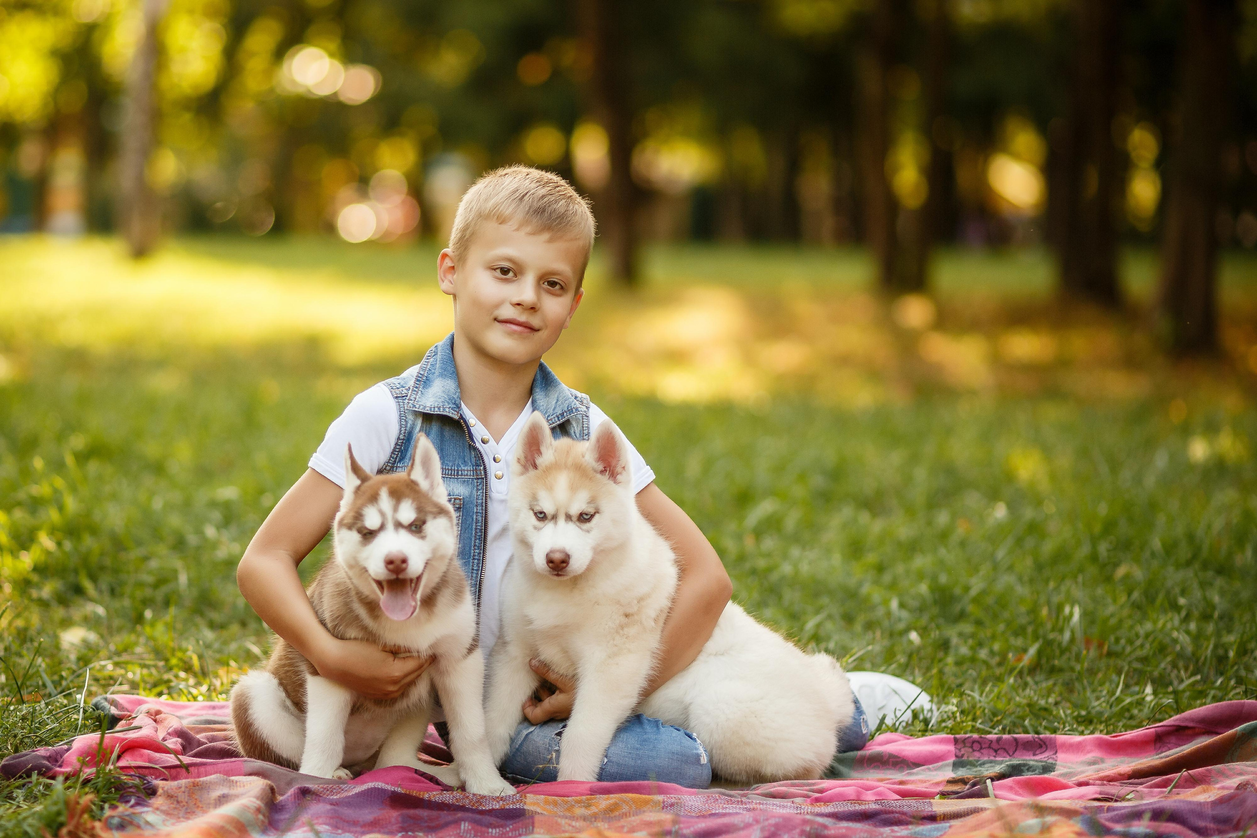Фотосессия с хаски. Фотограф Антон Джавадян