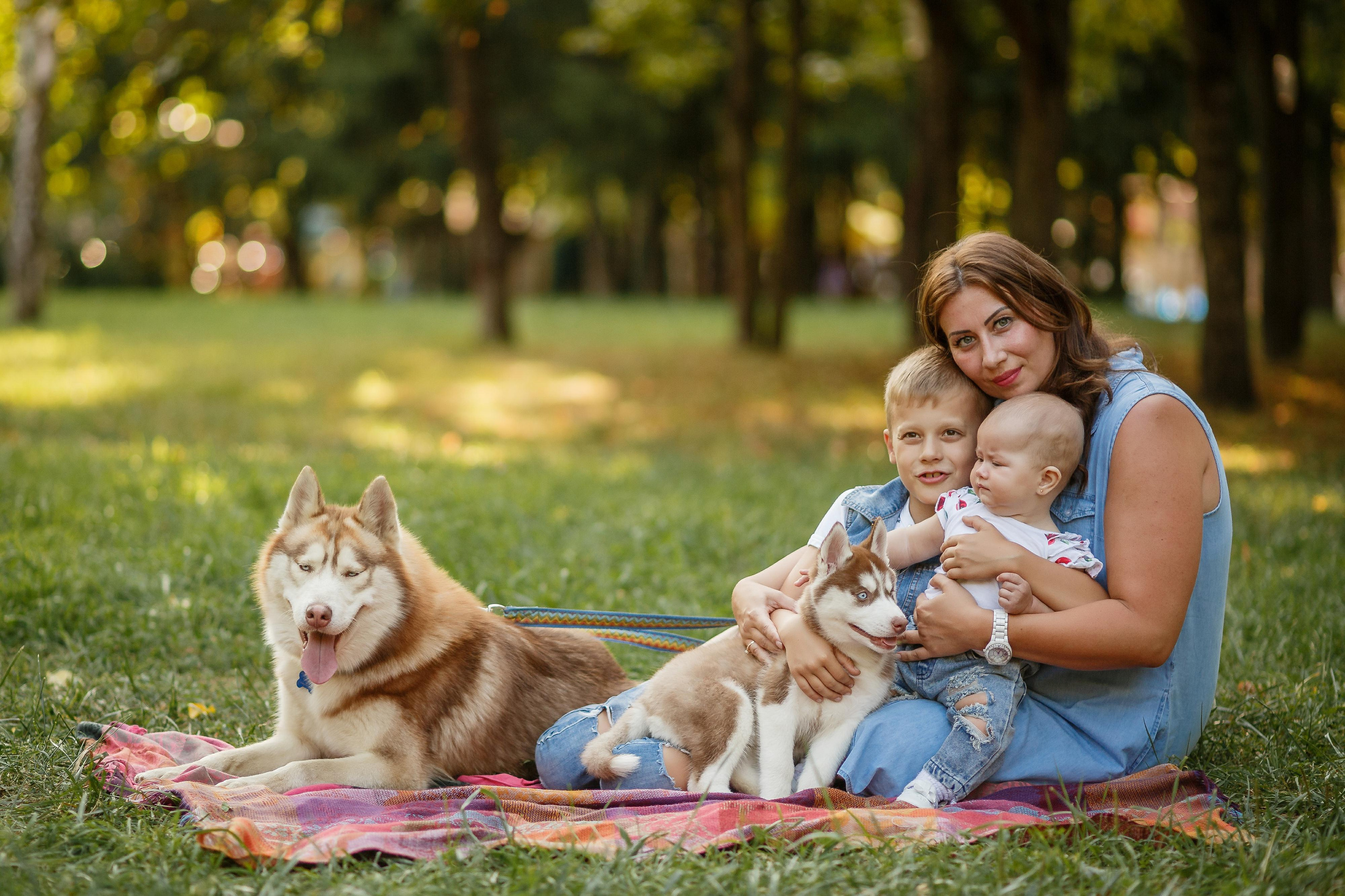 Фотосессия с хаски. Фотограф Антон Джавадян