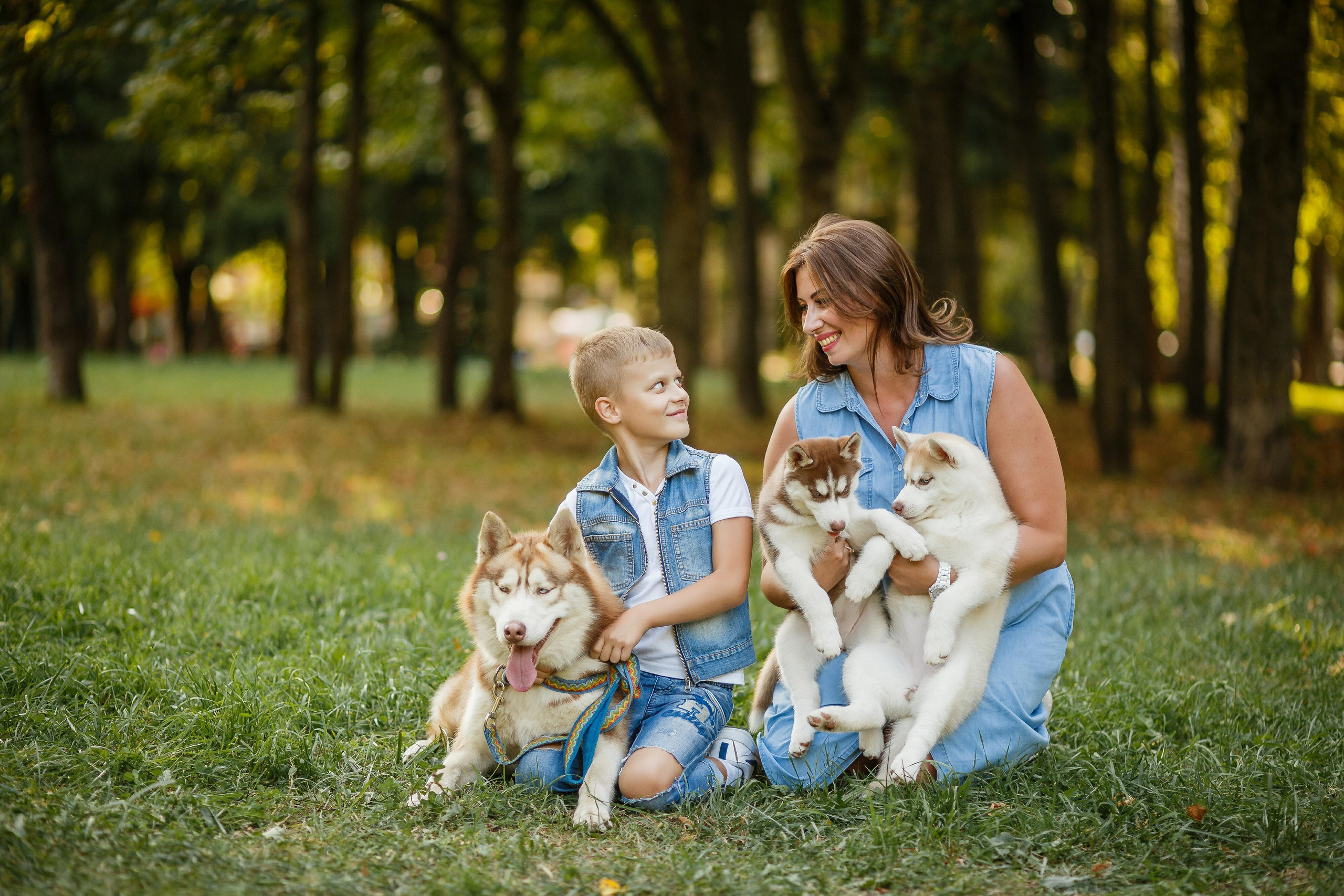 Фотосессия с хаски. Фотограф Антон Джавадян
