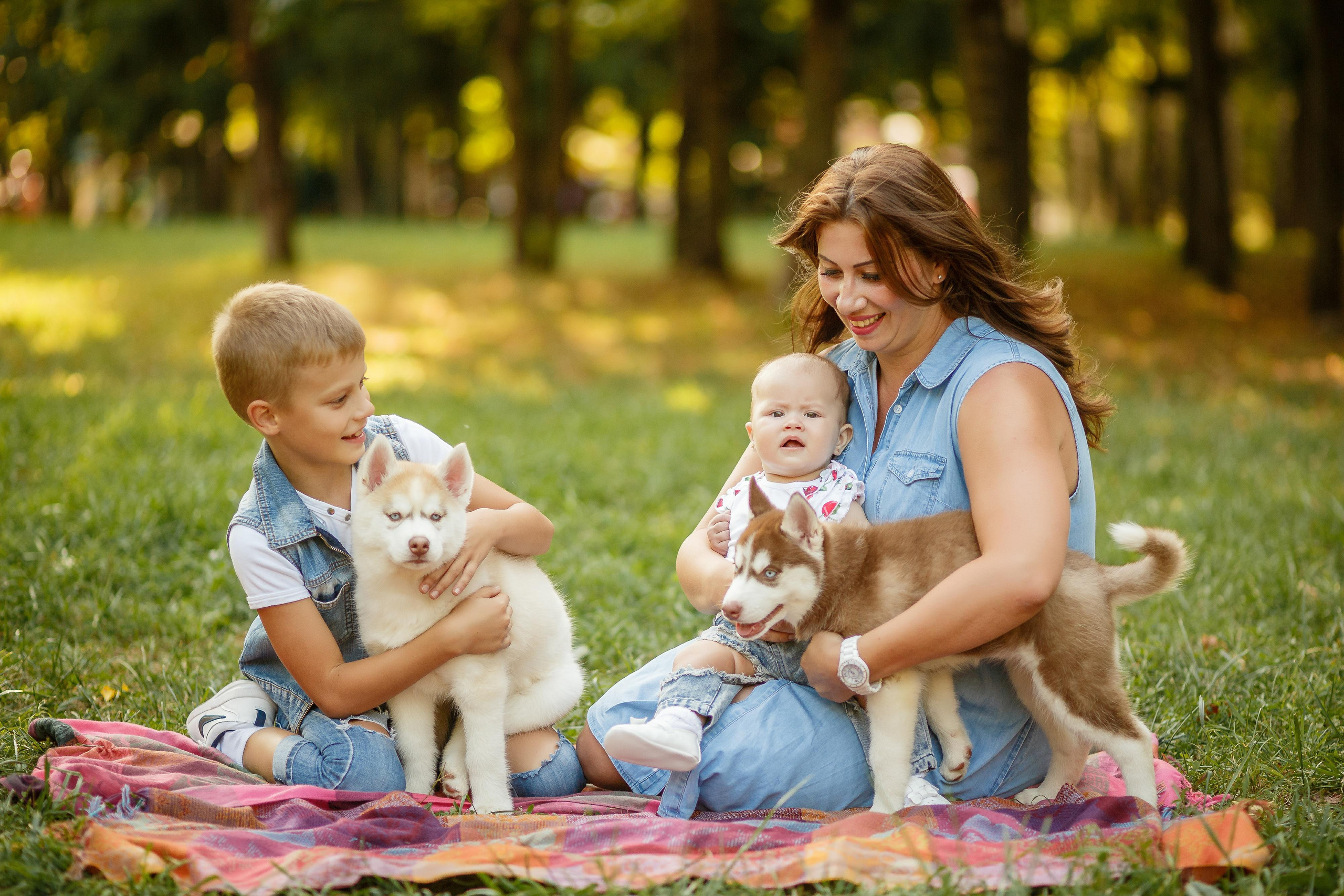 Фотосессия с хаски. Фотограф Антон Джавадян