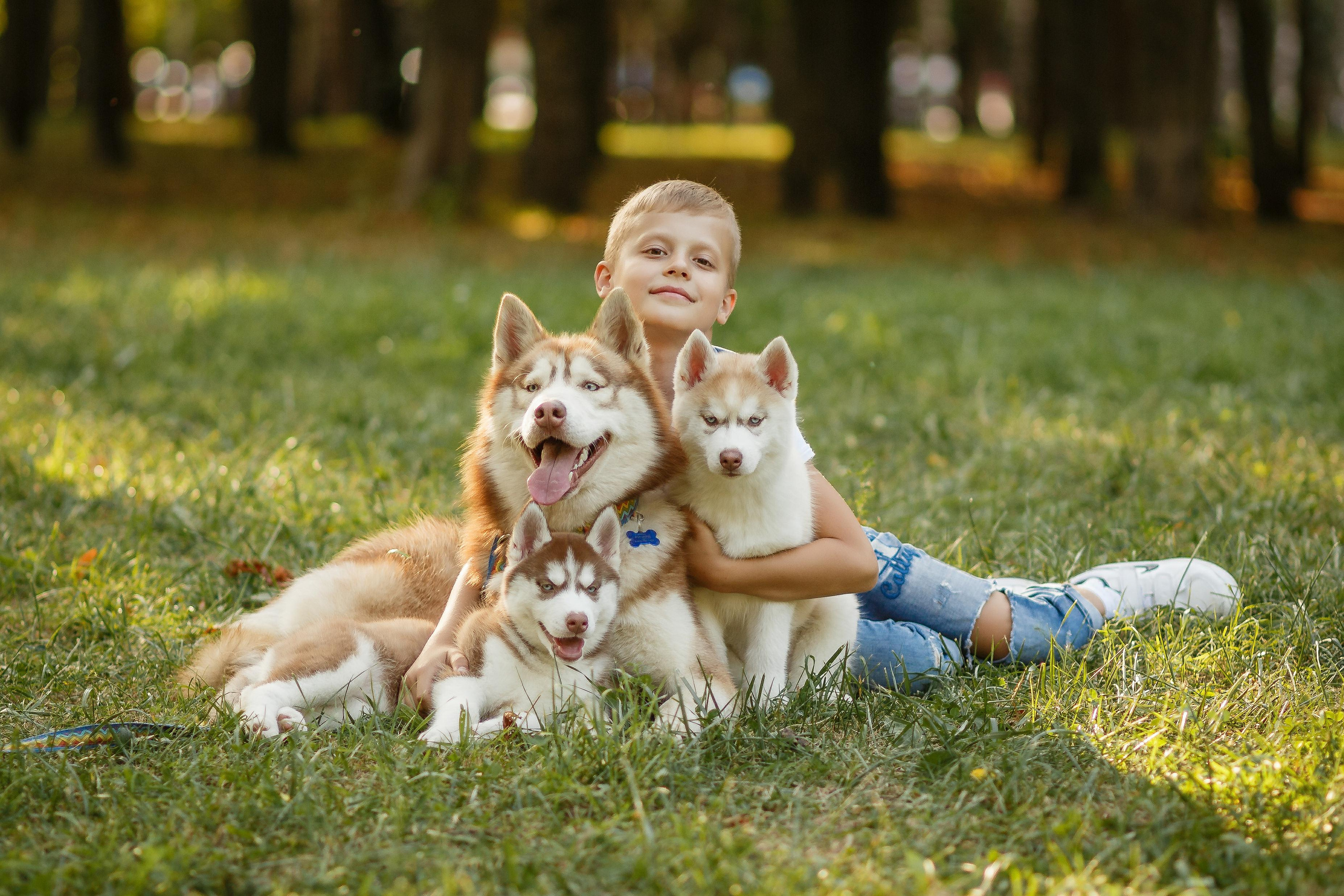 Фотосессия с хаски. Фотограф Антон Джавадян
