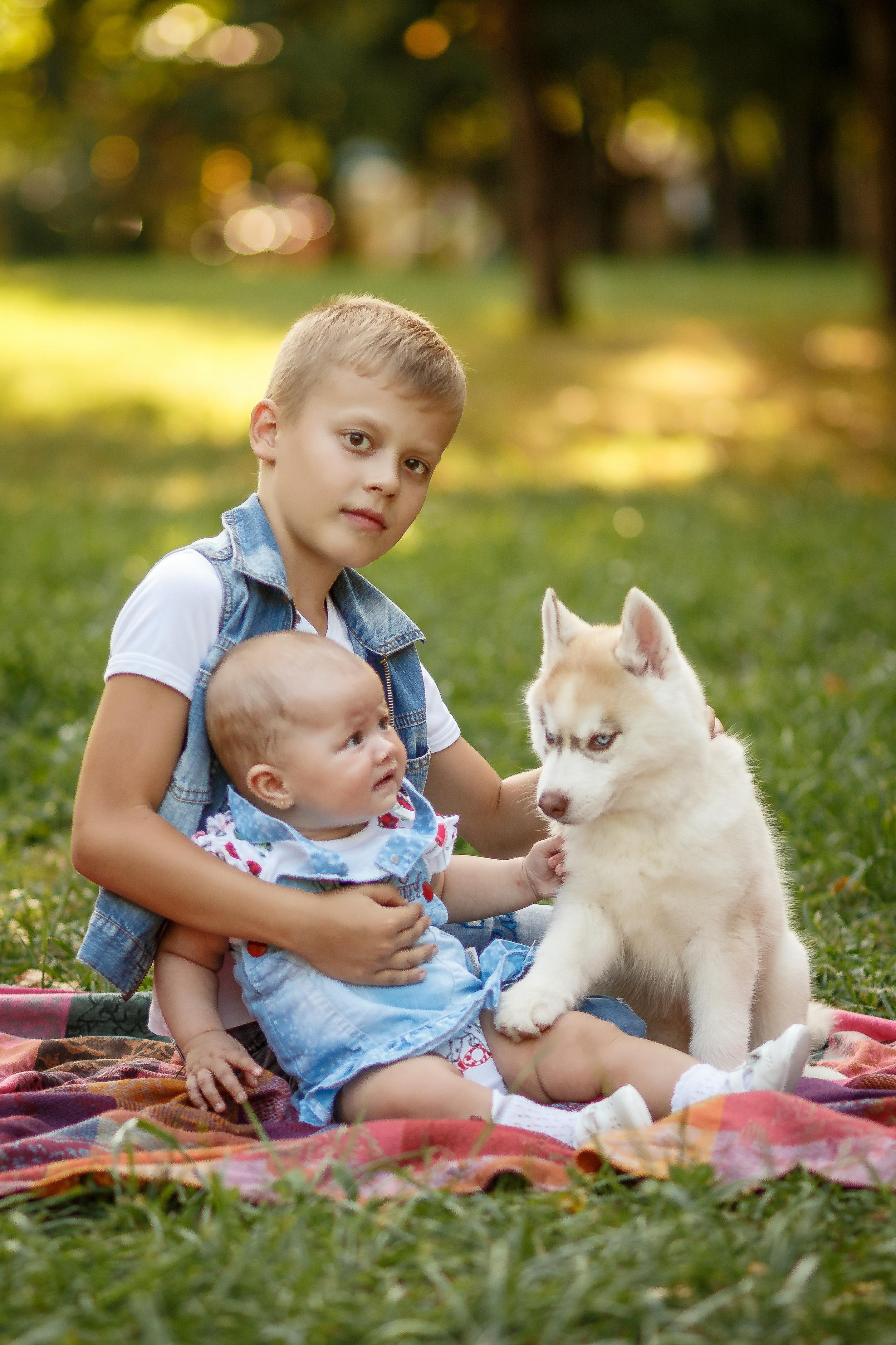 Фотосессия с хаски. Фотограф Антон Джавадян