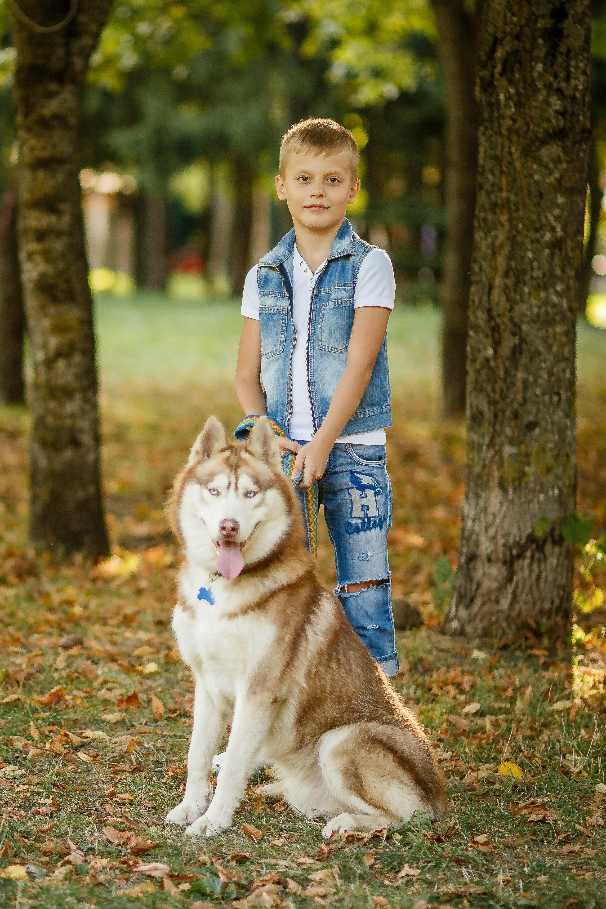 Фотосессия с хаски. Фотограф Антон Джавадян