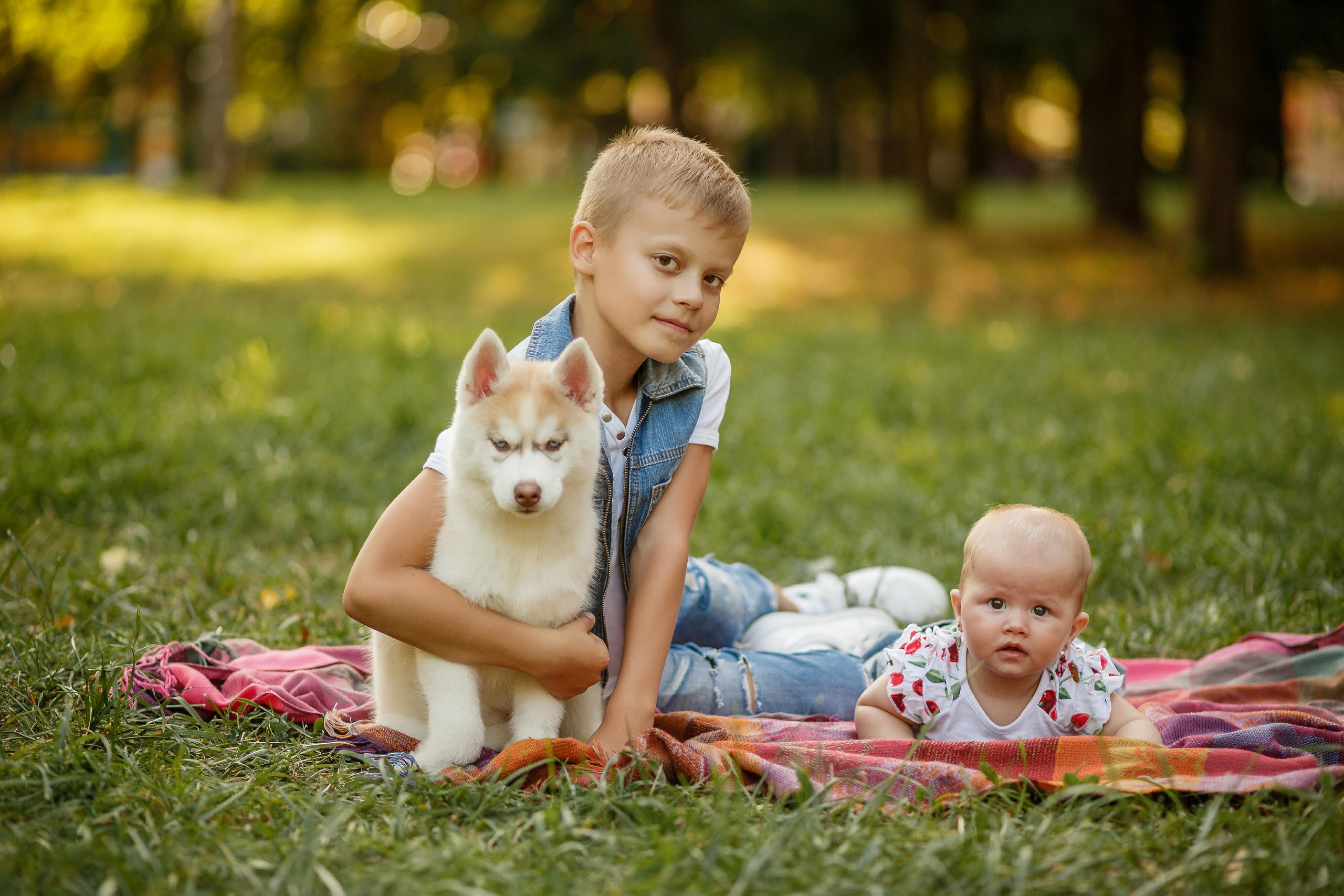 Фотосессия с хаски. Фотограф Антон Джавадян