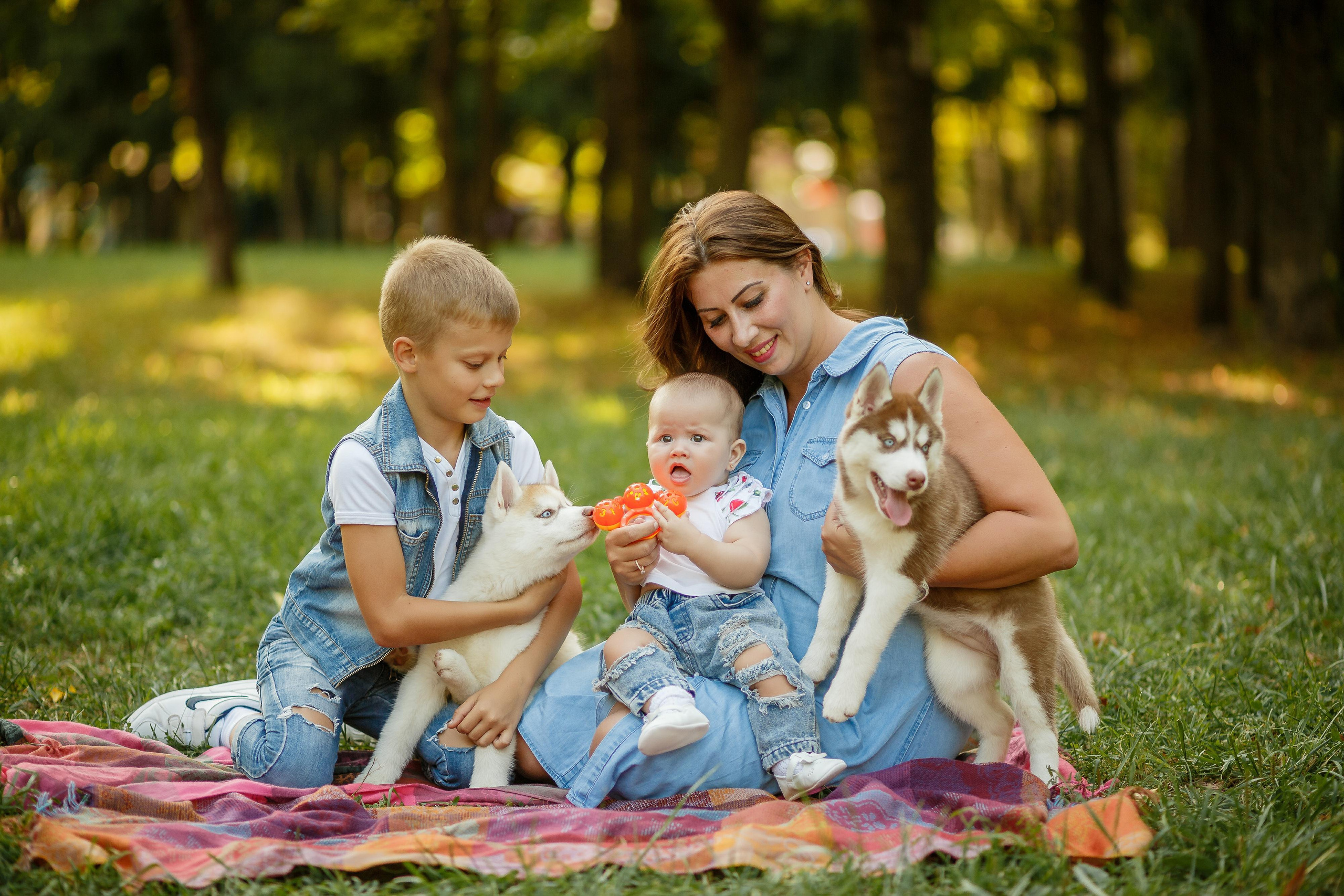 Фотосессия с хаски. Фотограф Антон Джавадян