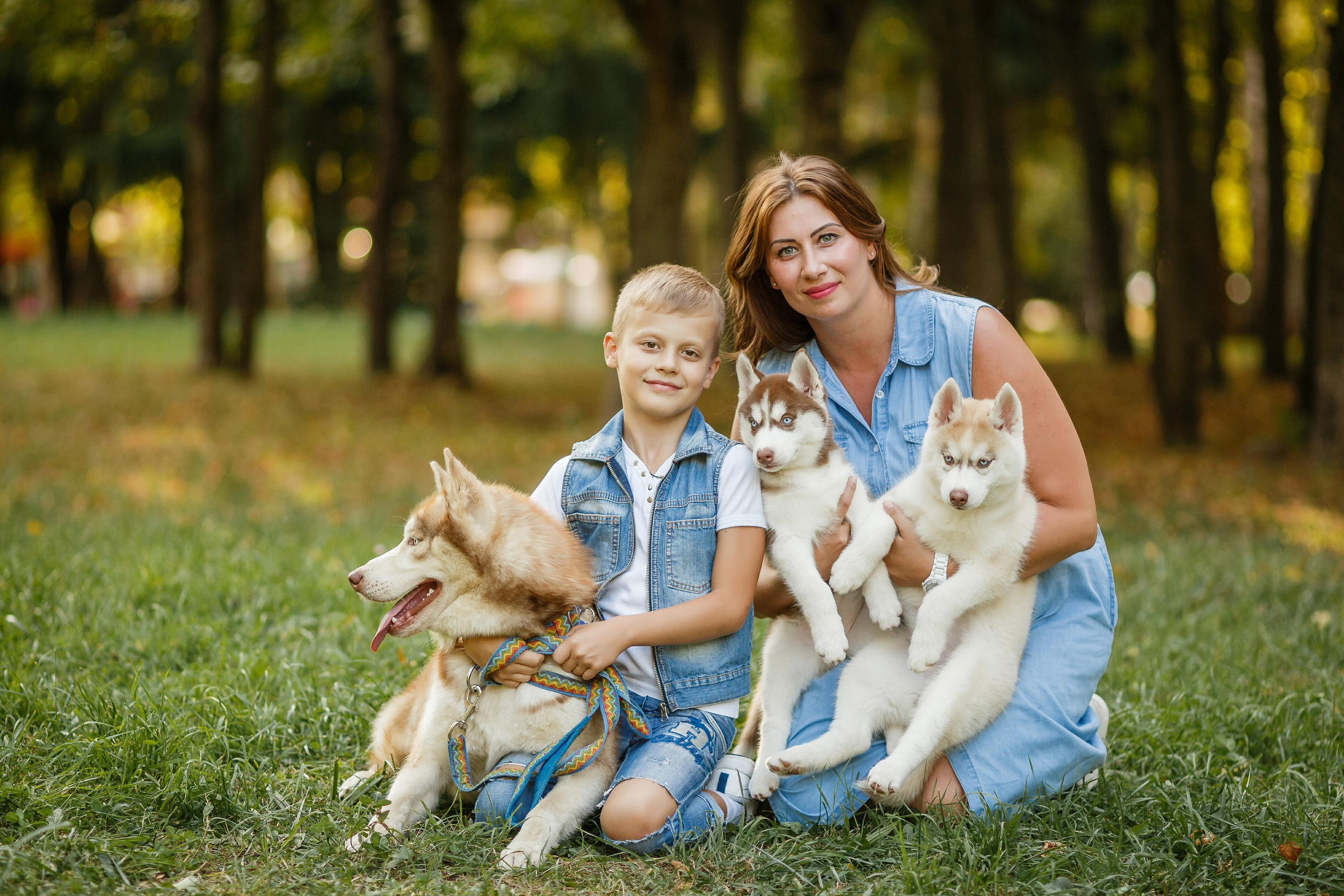 Фотосессия с хаски. Фотограф Антон Джавадян