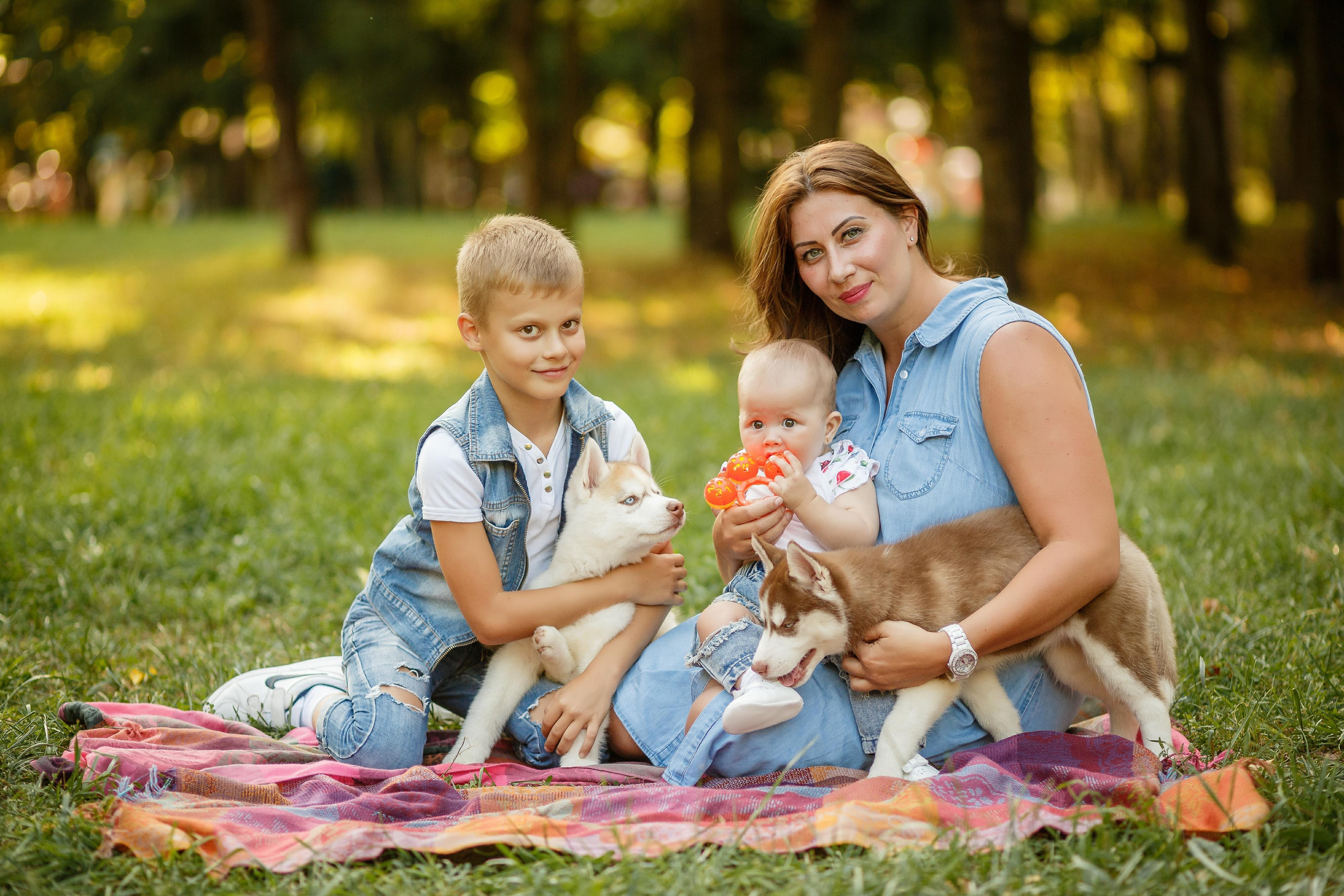 Фотосессия с хаски. Фотограф Антон Джавадян