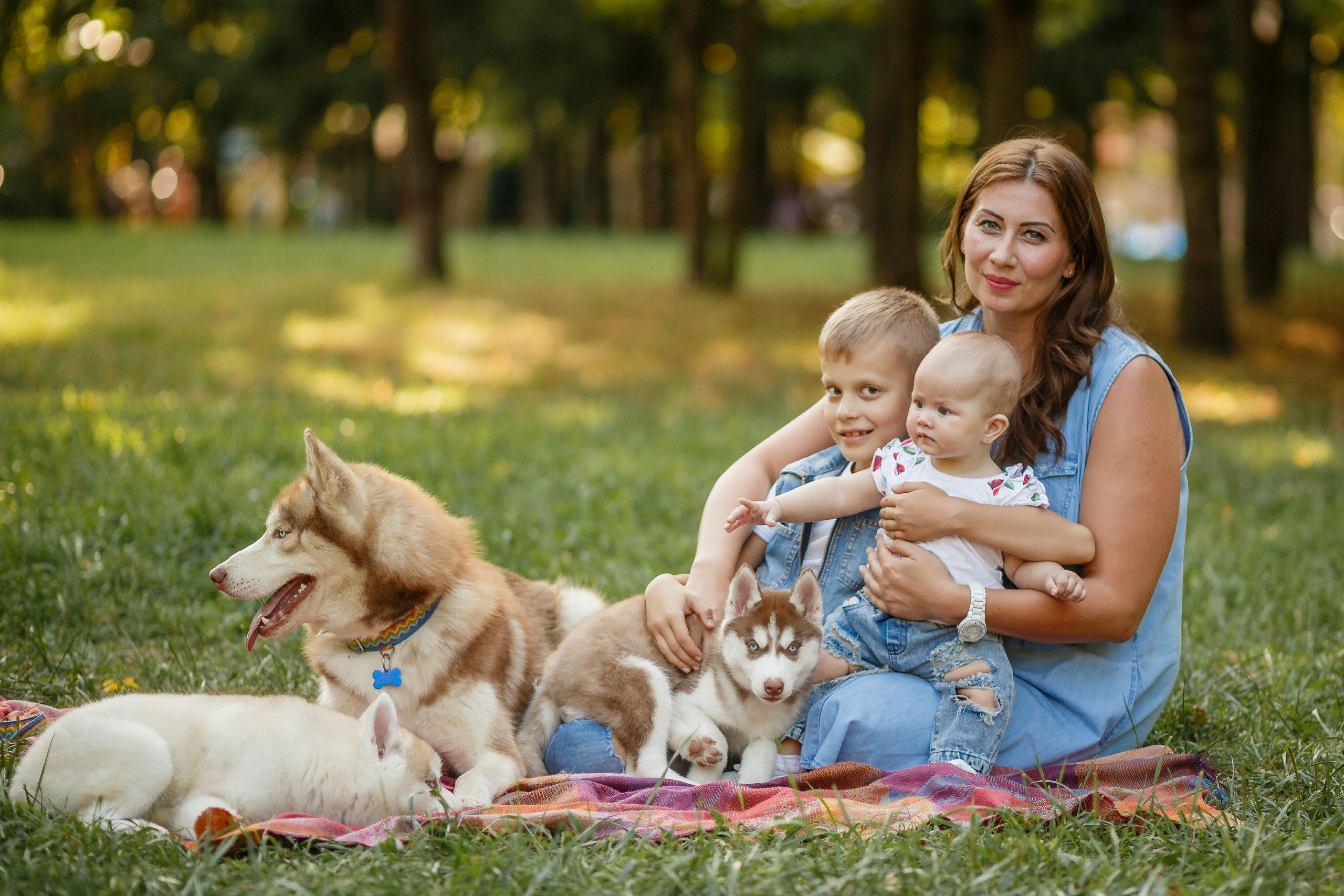 Фотосессия с хаски. Фотограф Антон Джавадян