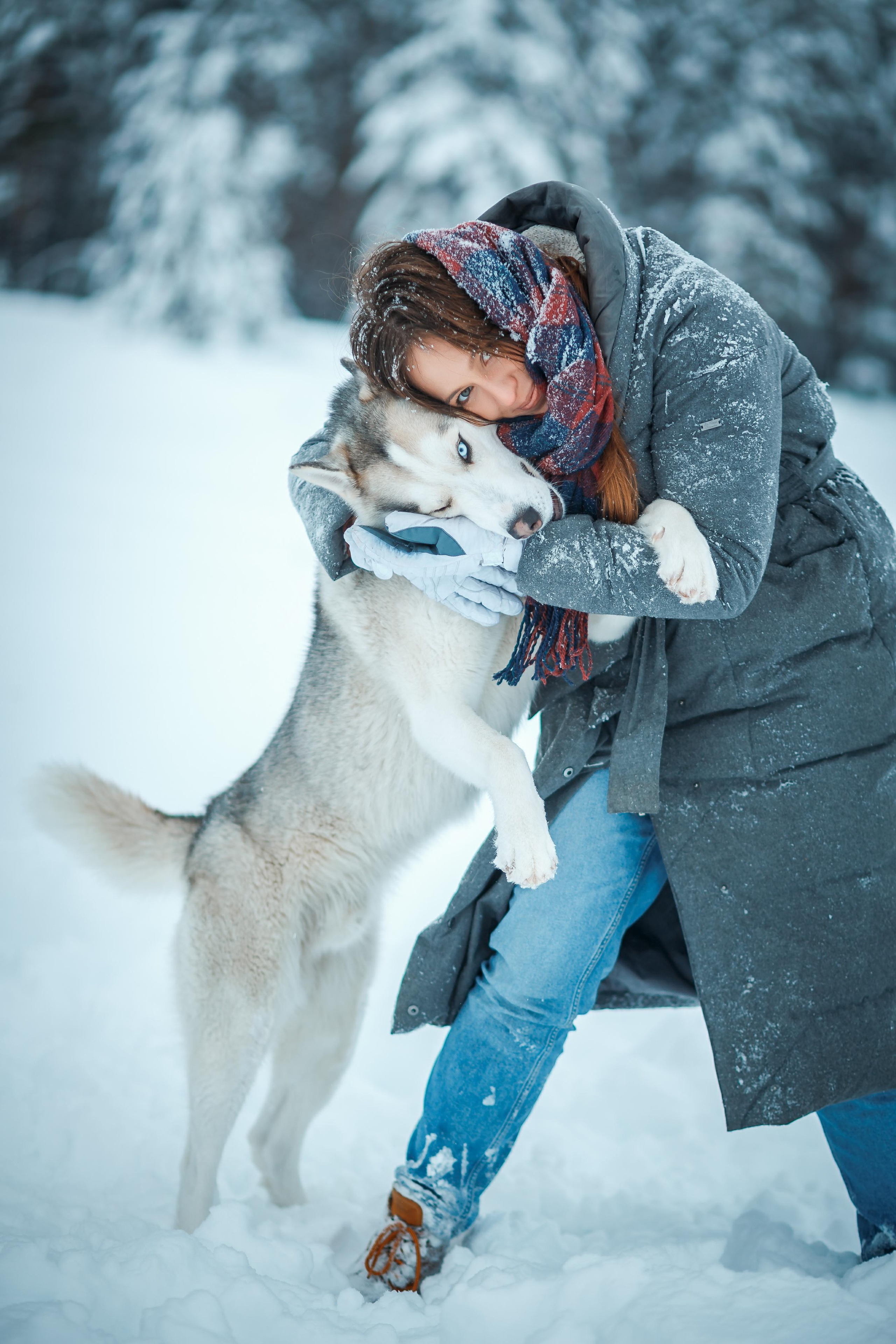 Зимняя сказка. Фотограф Антон Джавадян