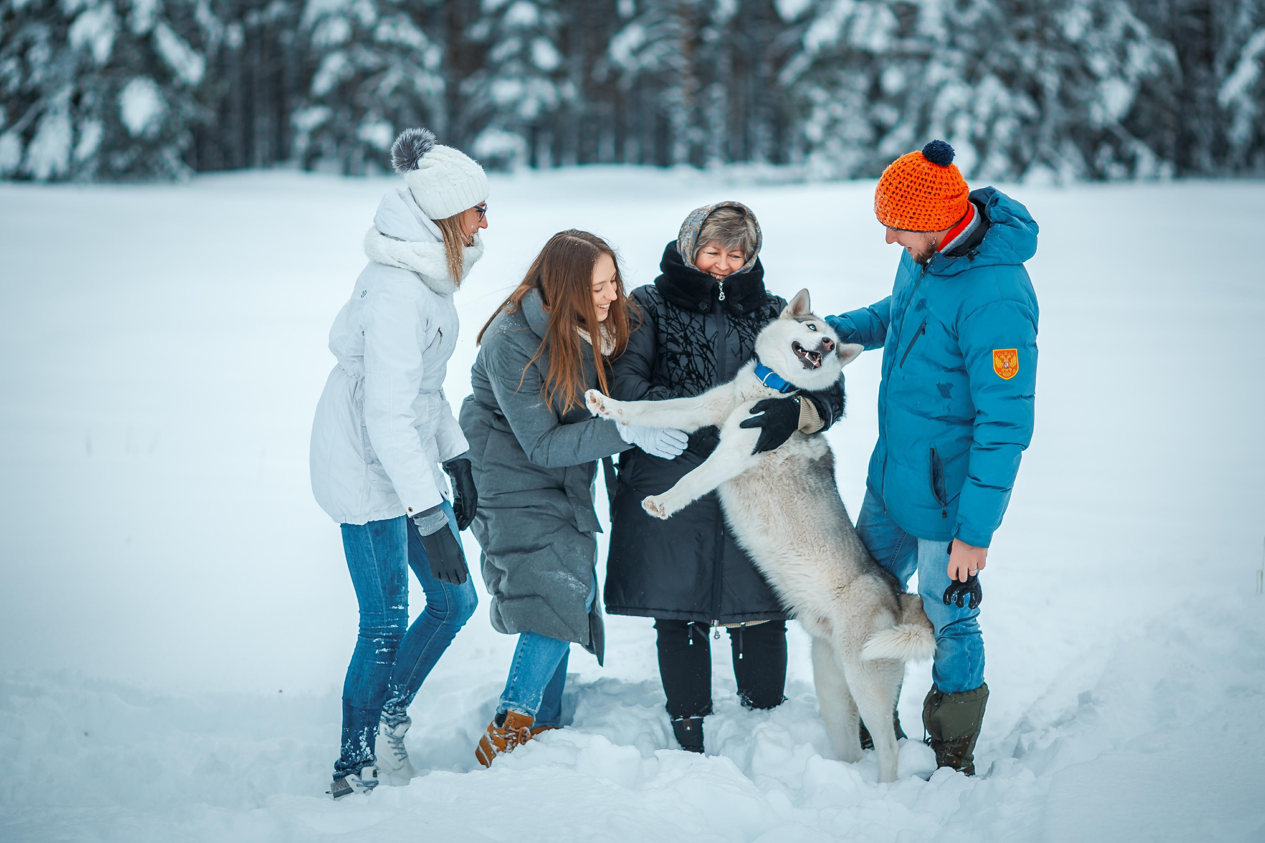 Зимняя сказка