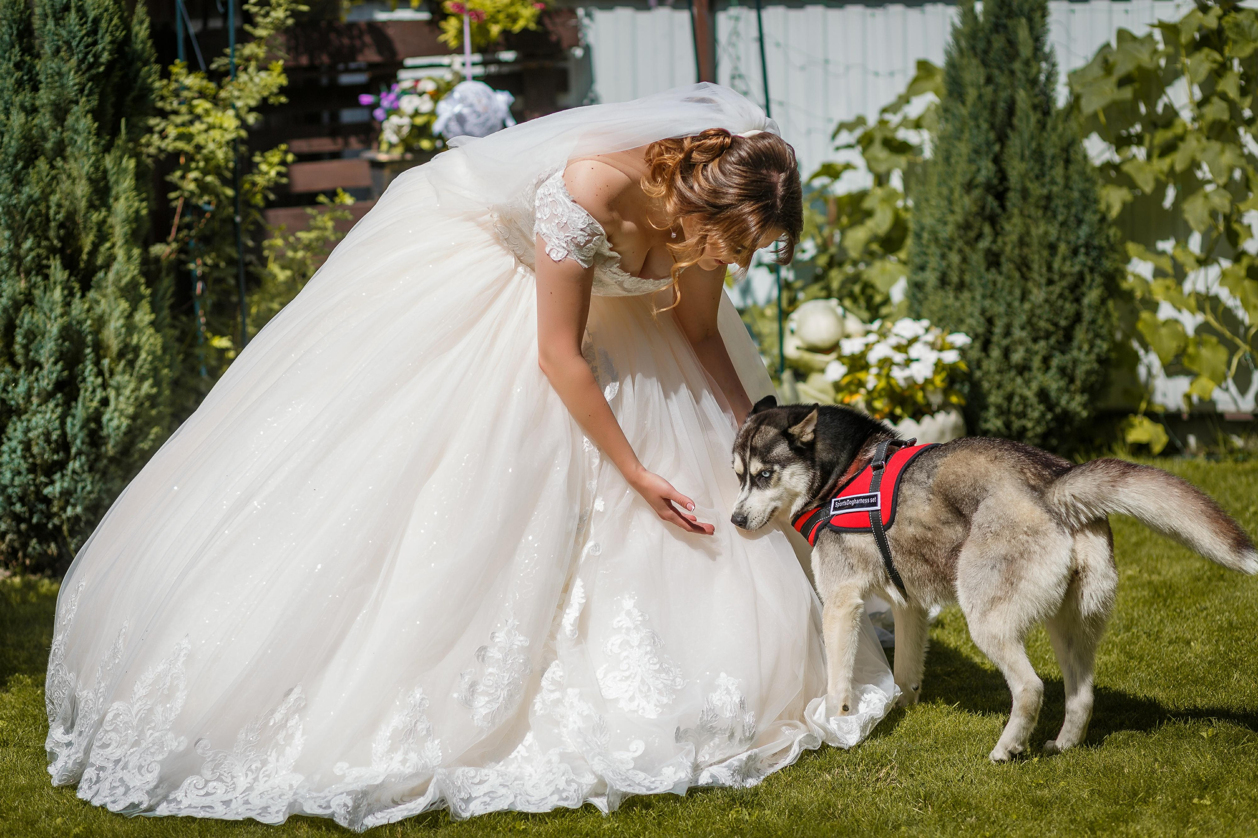Влад и Валерия. Фотограф Антон Джавадян