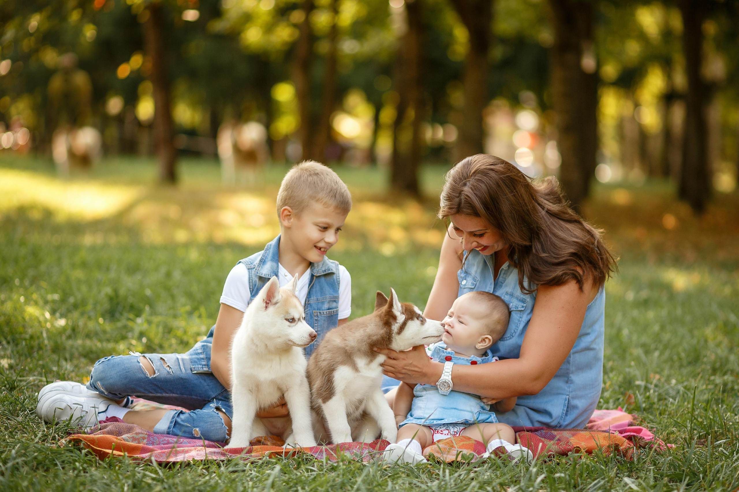Фотосессия с хаски. Фотограф Антон Джавадян