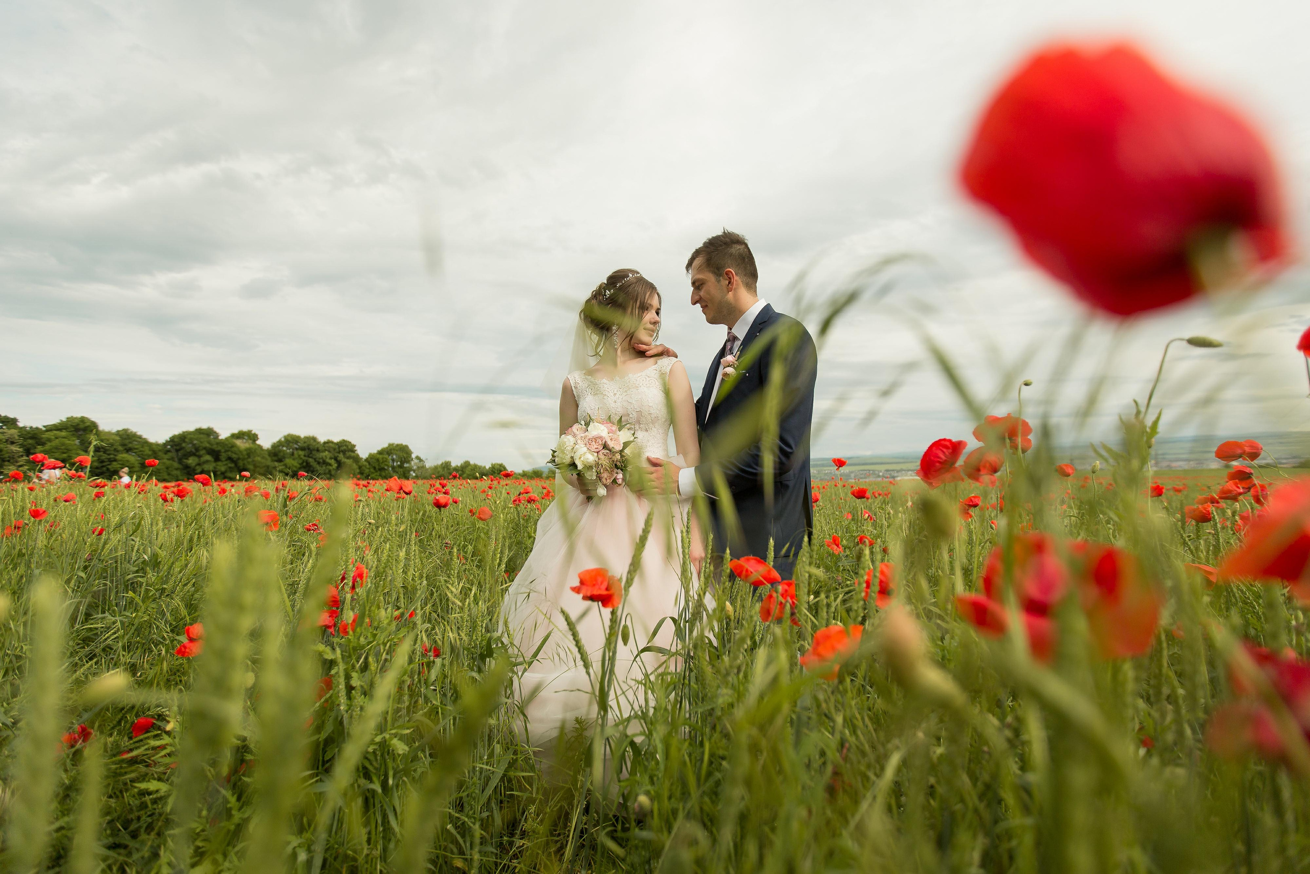 Николай и Виктория. Фотограф Антон Джавадян