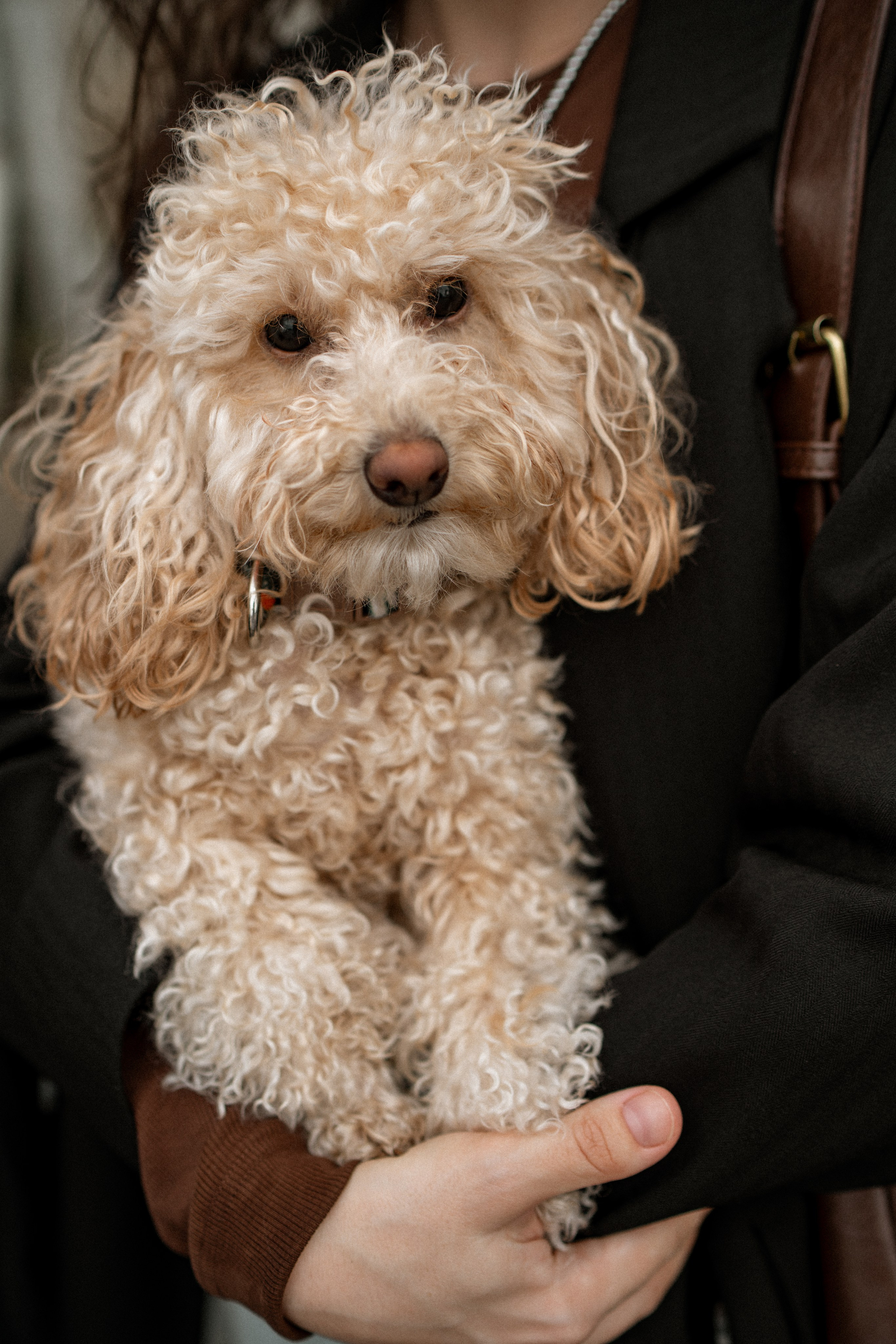 Семейная фотосессия в Санкт-Петербурге — семейный фотограф Наташа Тарасенко. Семейный фотограф в Санкт-Петербурге — Наташа Тарасенко