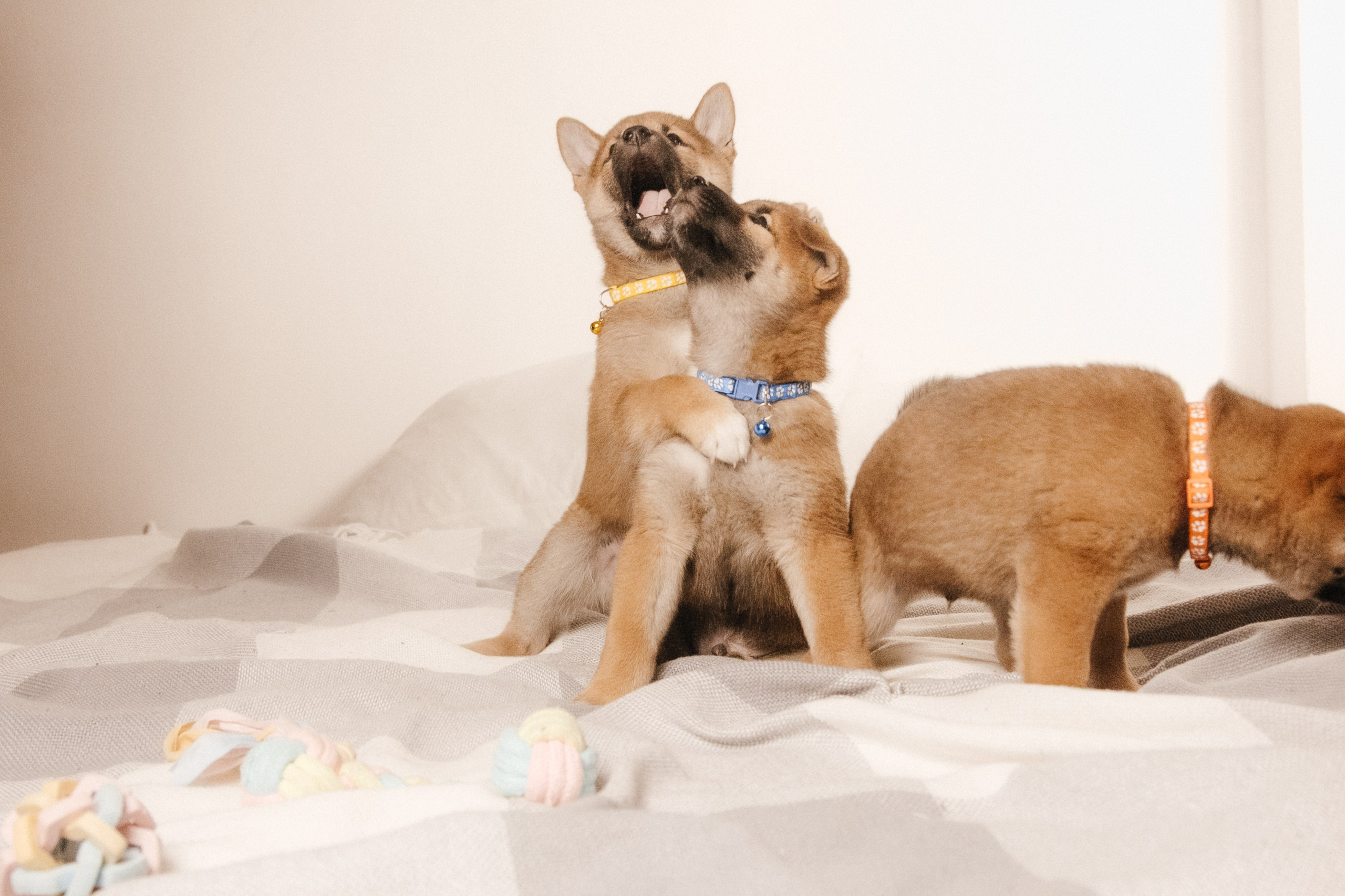 LOVE. Семейный фотограф Казань Никита Федин