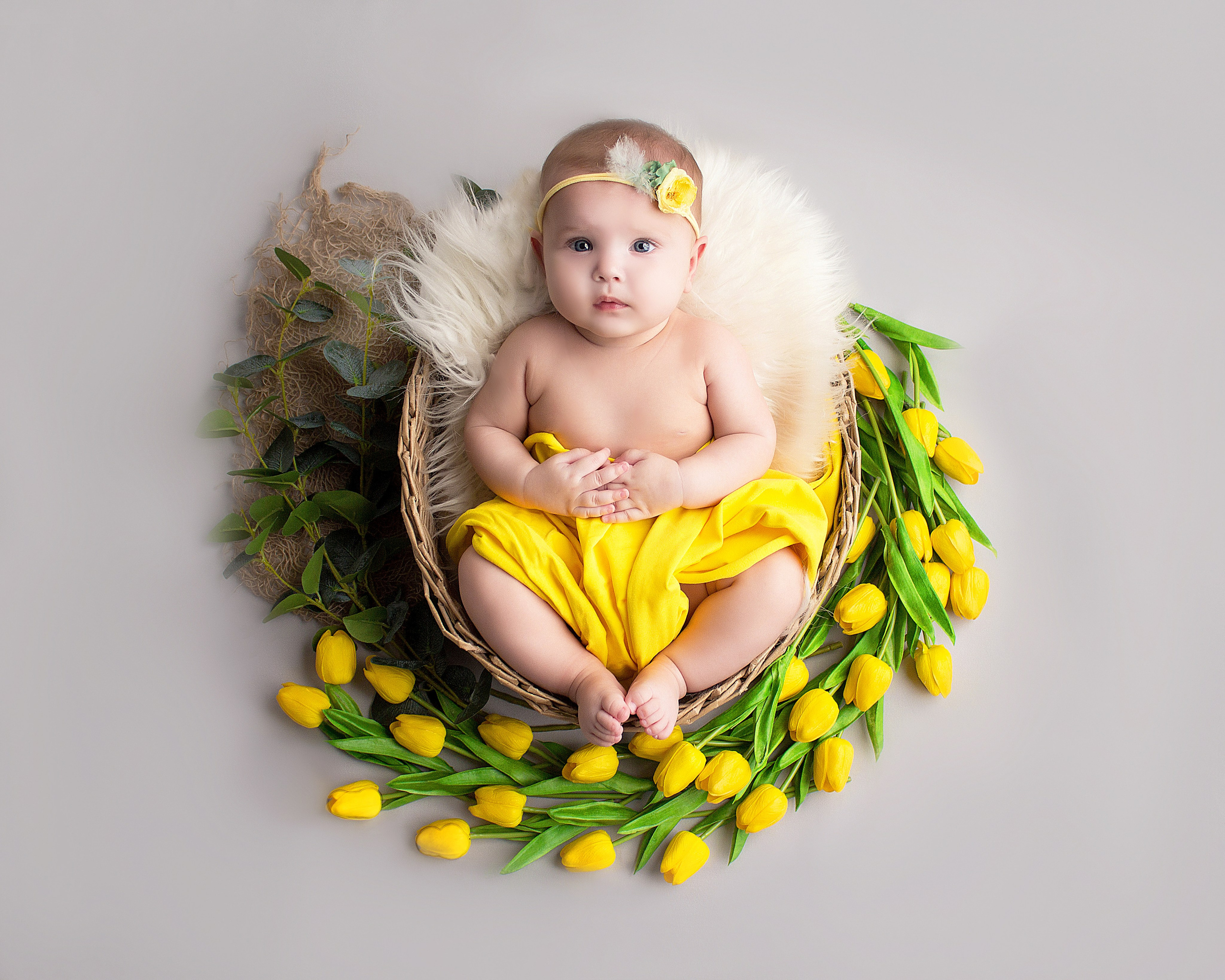 Студия Мандаринка