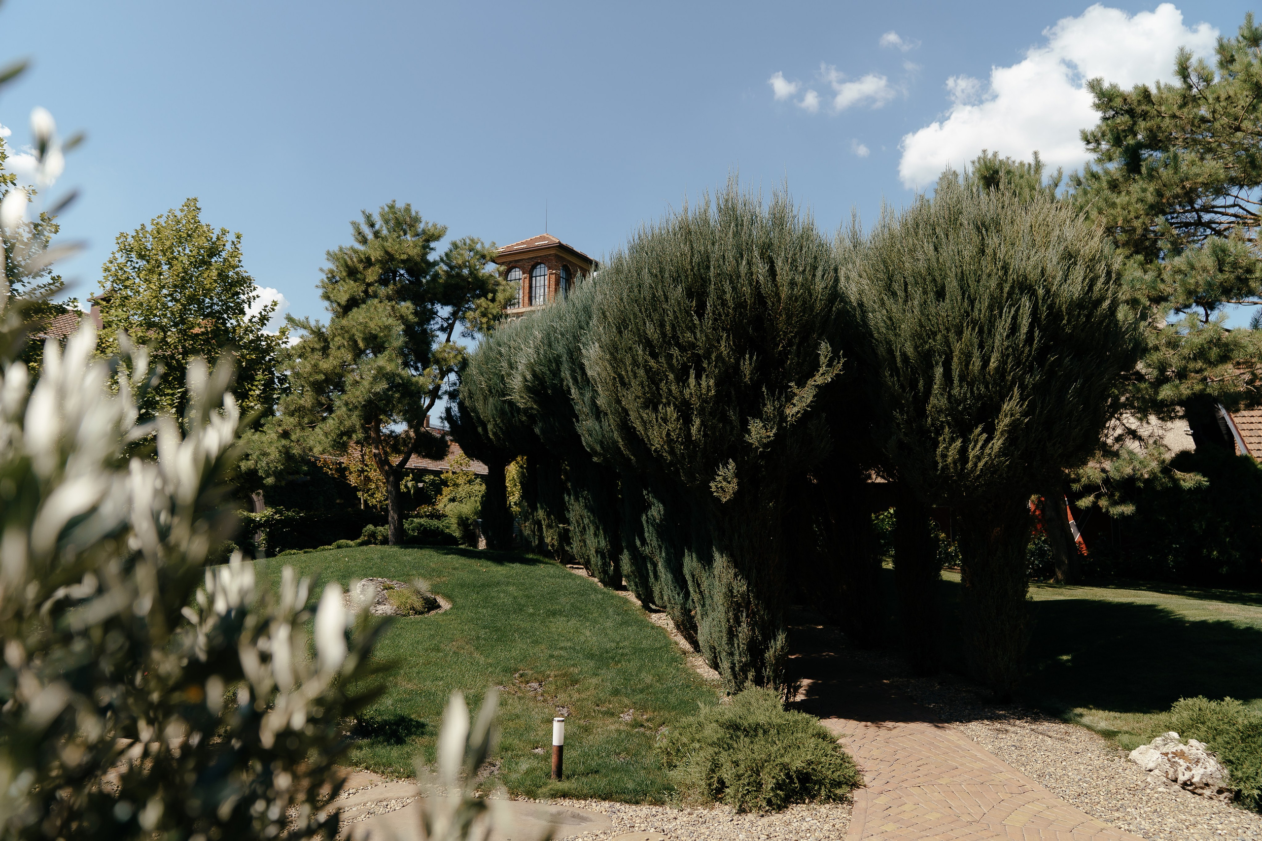 Виктор и Анастасия. Свадебный и репортажный фотограф Ростов-на-Дону Алексей Гуль