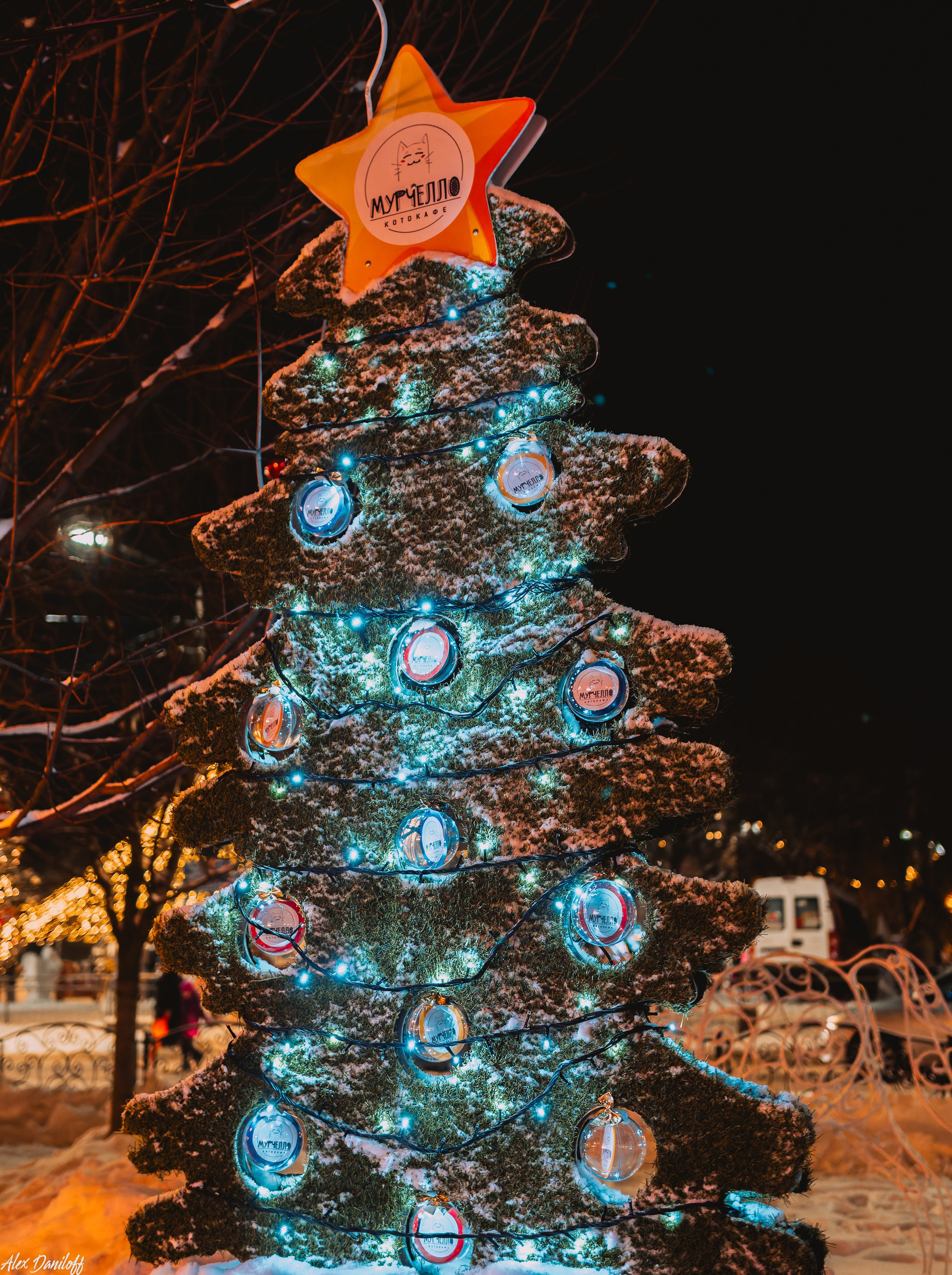 Елки 2025. Муром-Инфо. Новости культуры, образования, спорта в городе Муром