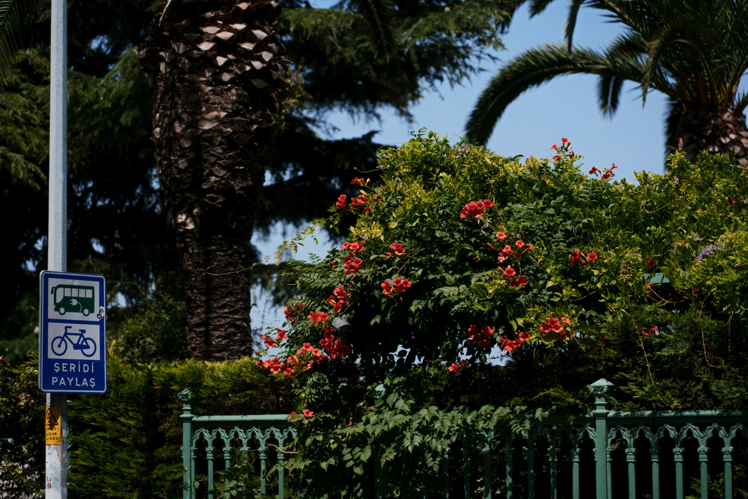 Büyükada х Heybeliada, Istanbul / Türkey SS25. Фотограф Юрин Евгений