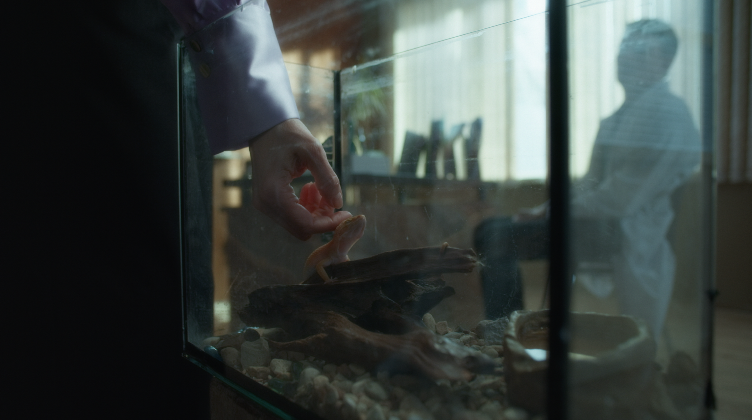 Out of the skin. Tokcolor