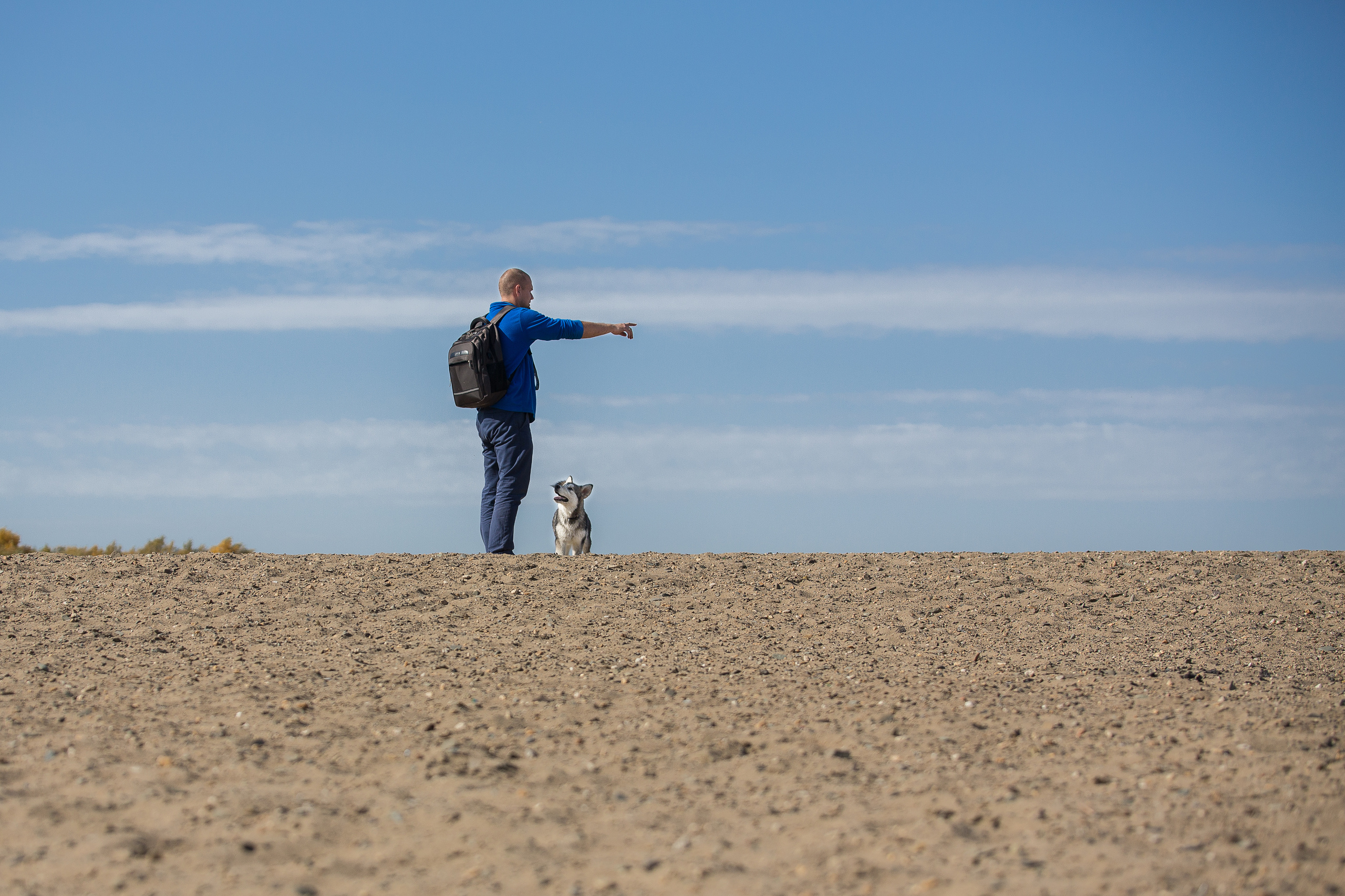 Фотосессия  собак. Фотограф в Новосибирске